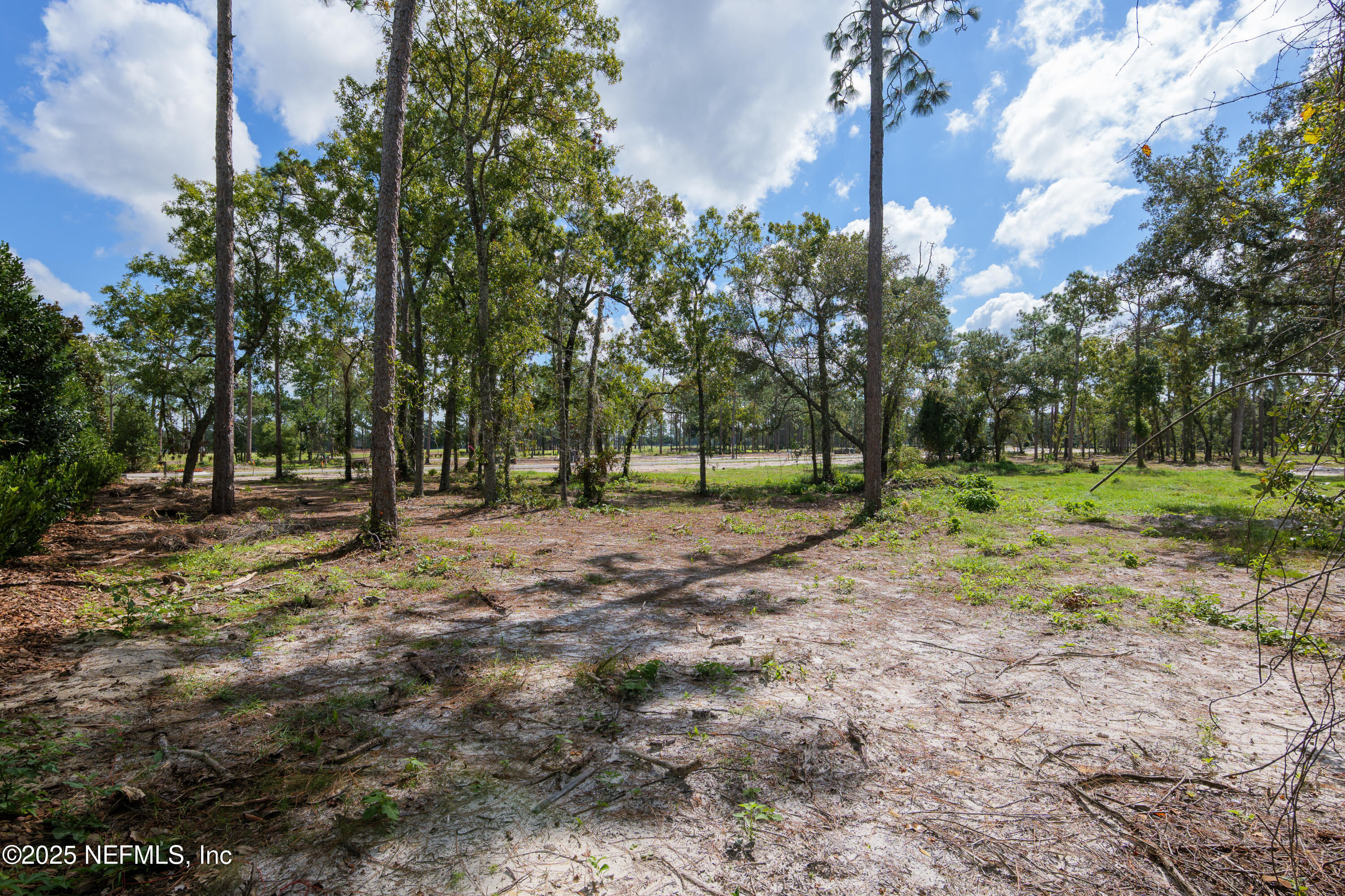 4506 ROSE GLEN Drive