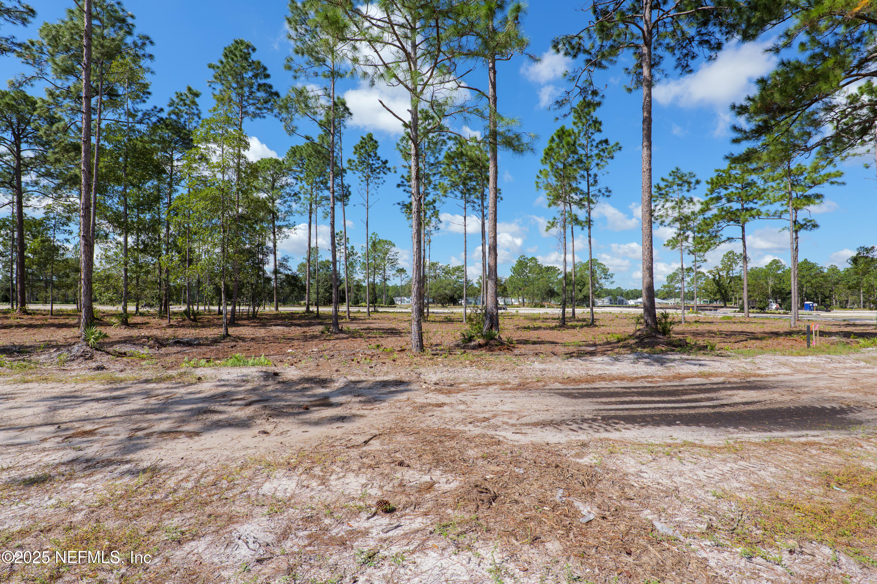 4601 ROSE GLEN Drive