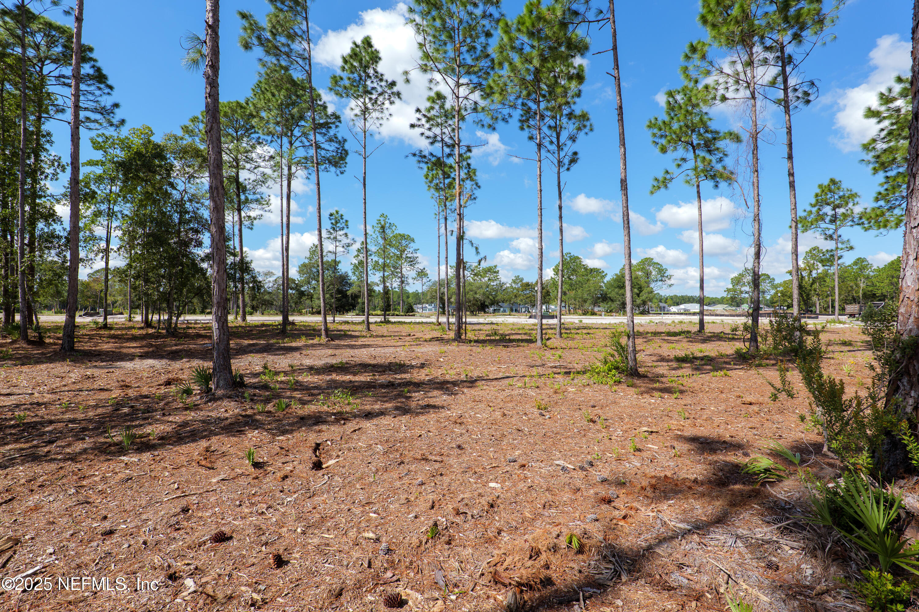 4601 ROSE GLEN Drive