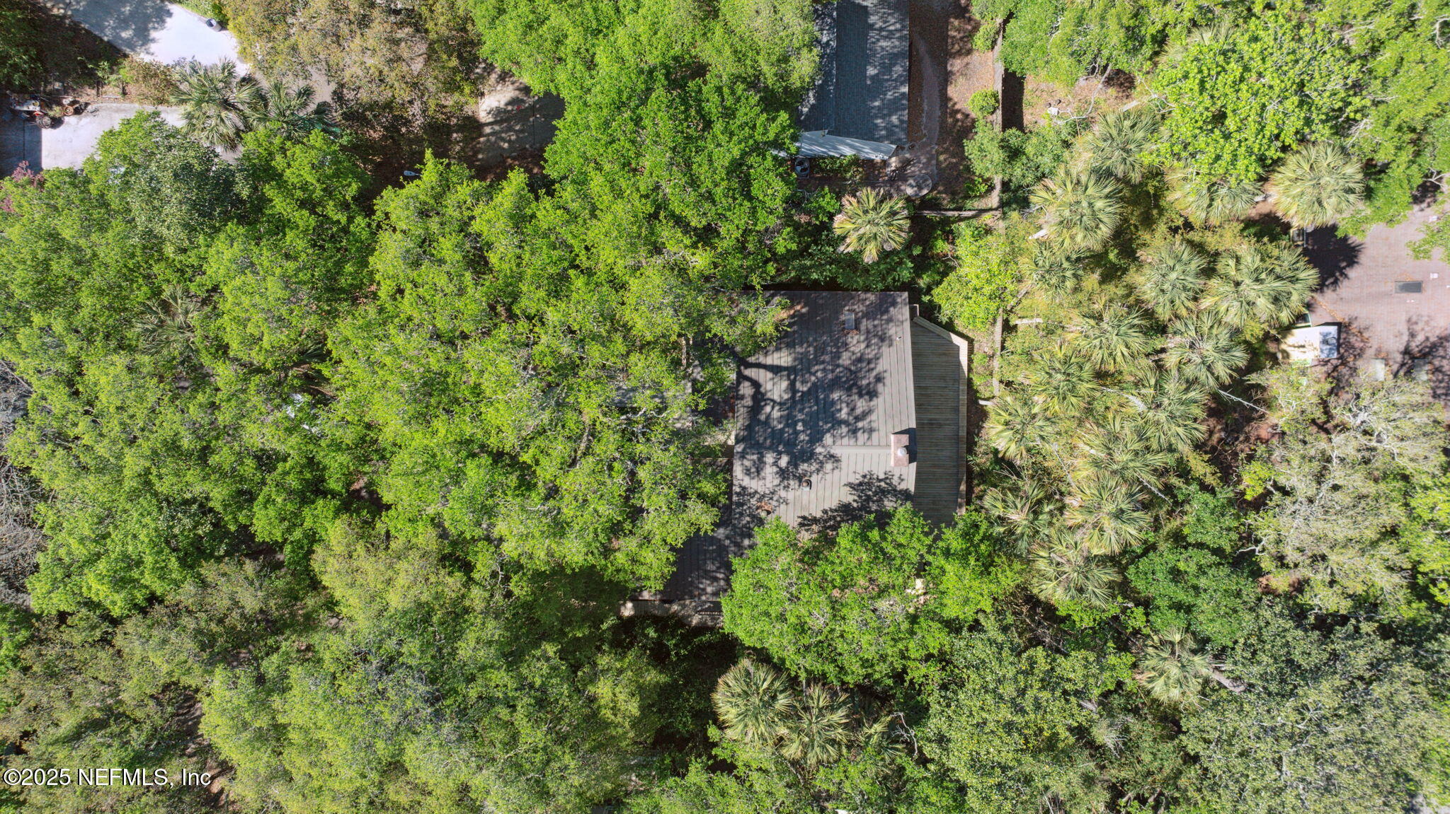 1875 LIVE OAK Lane