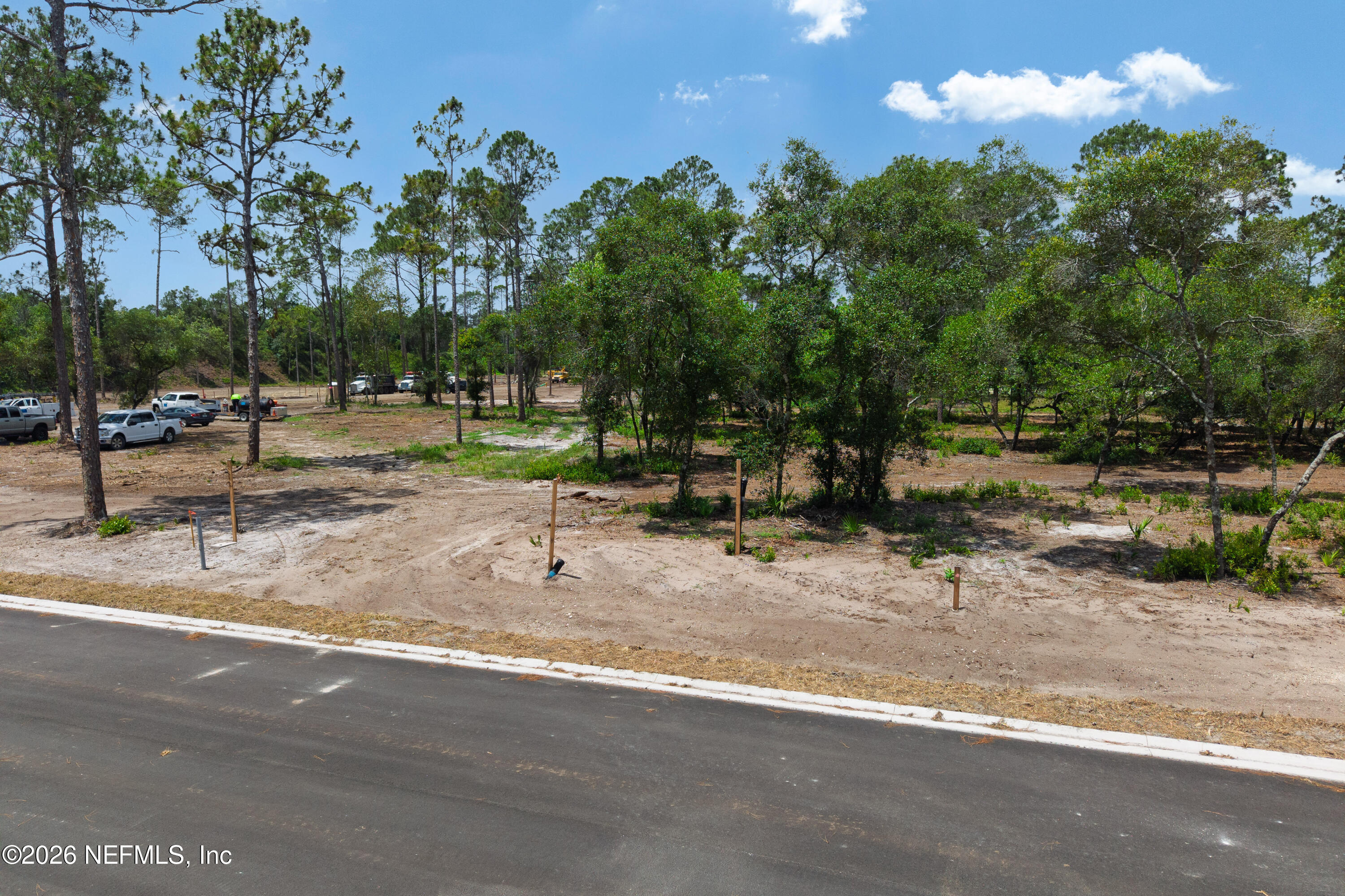 4528 FEATHER MOSS Court