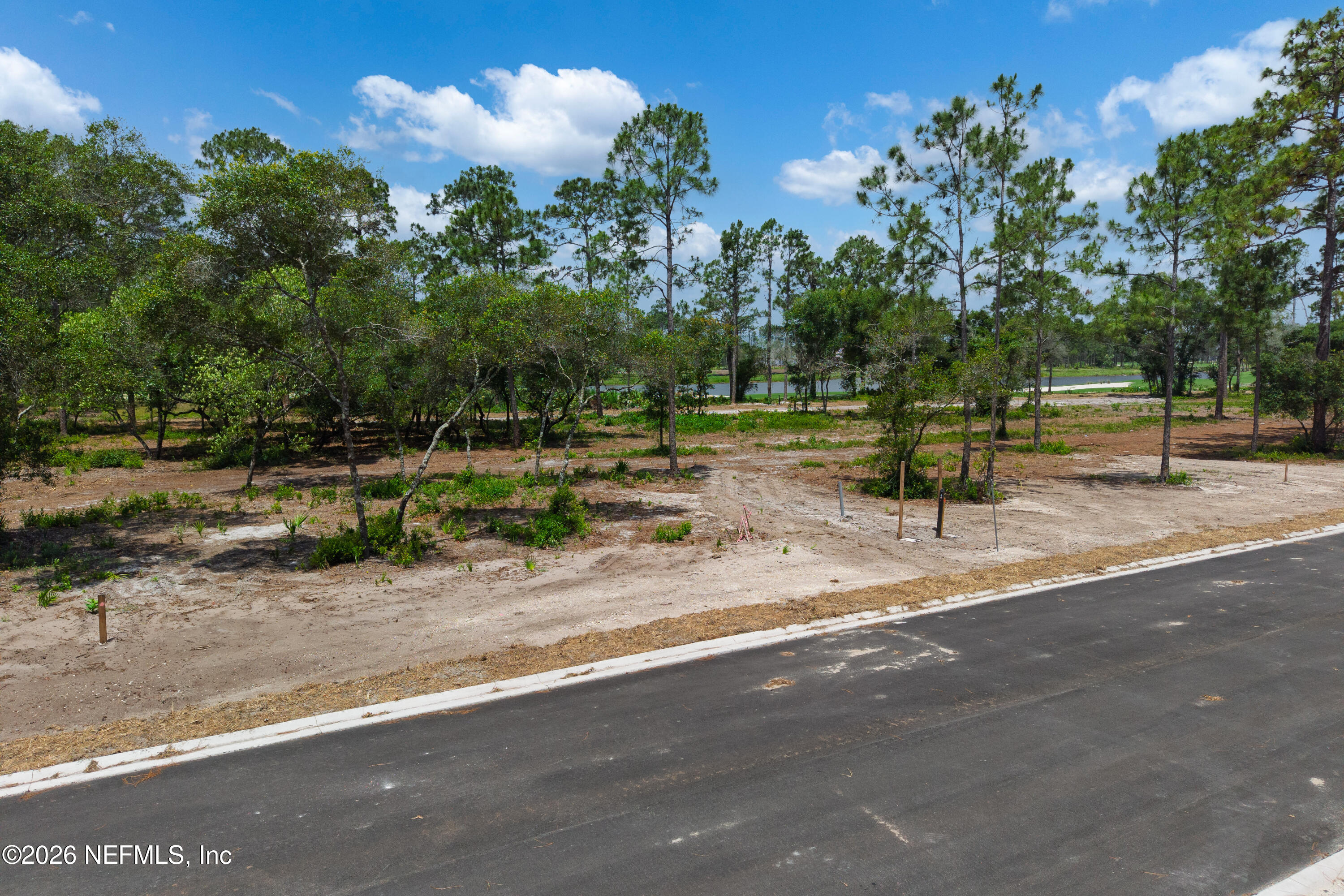 4528 FEATHER MOSS Court