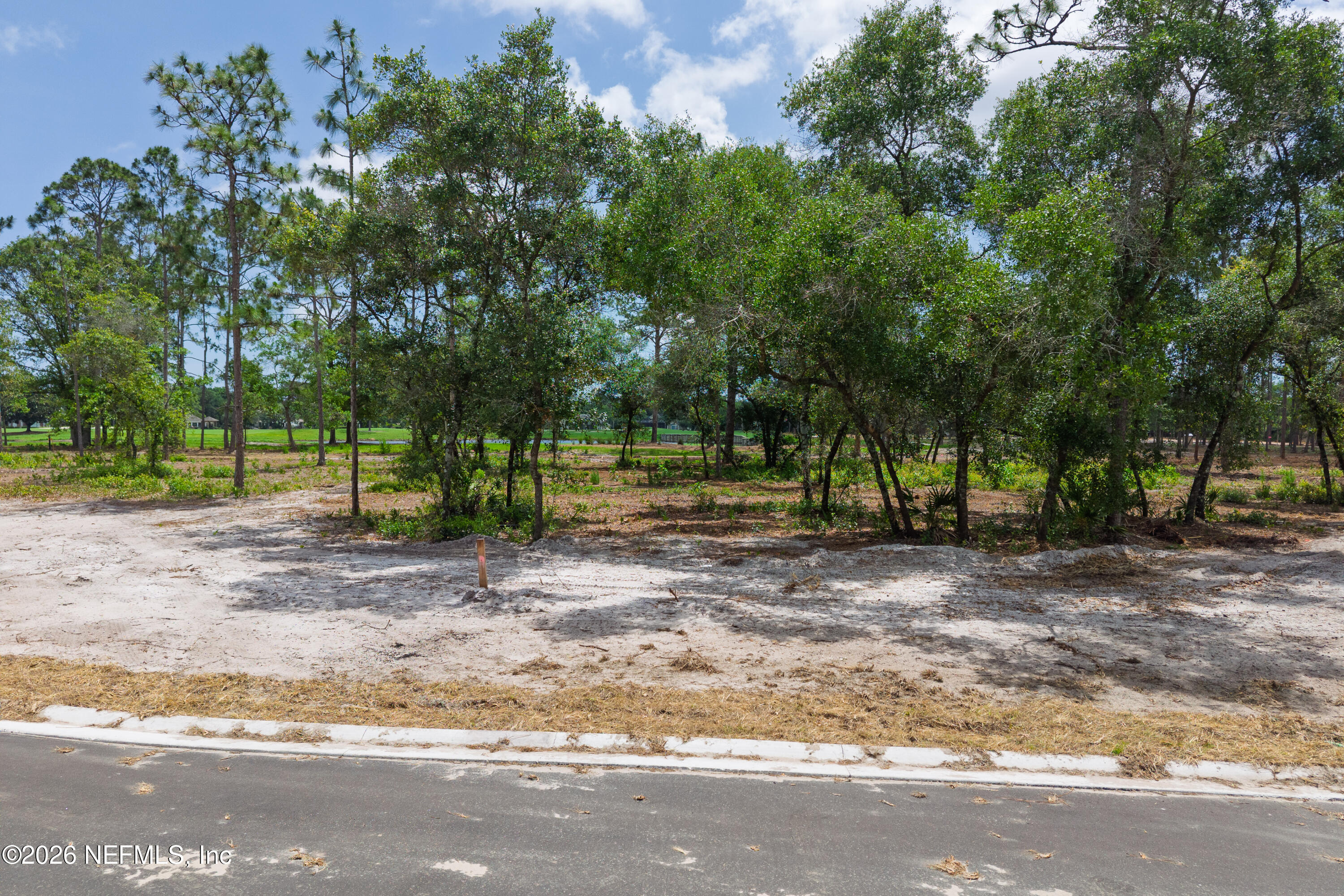 4523 FEATHER MOSS Court