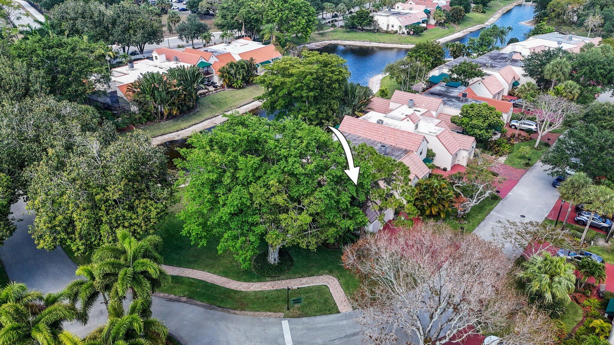 6479 Las Flores Drive