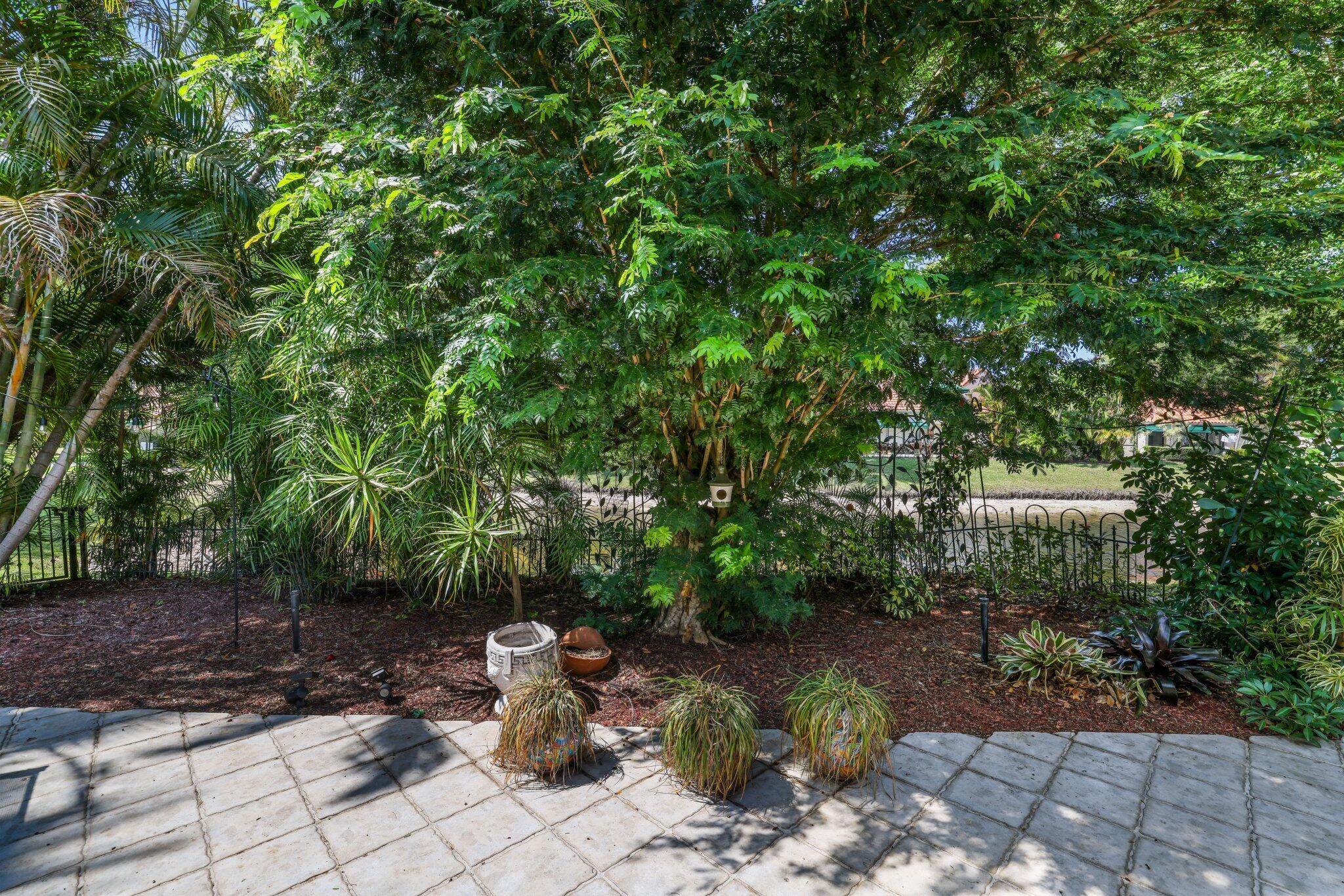 6479 Las Flores Drive