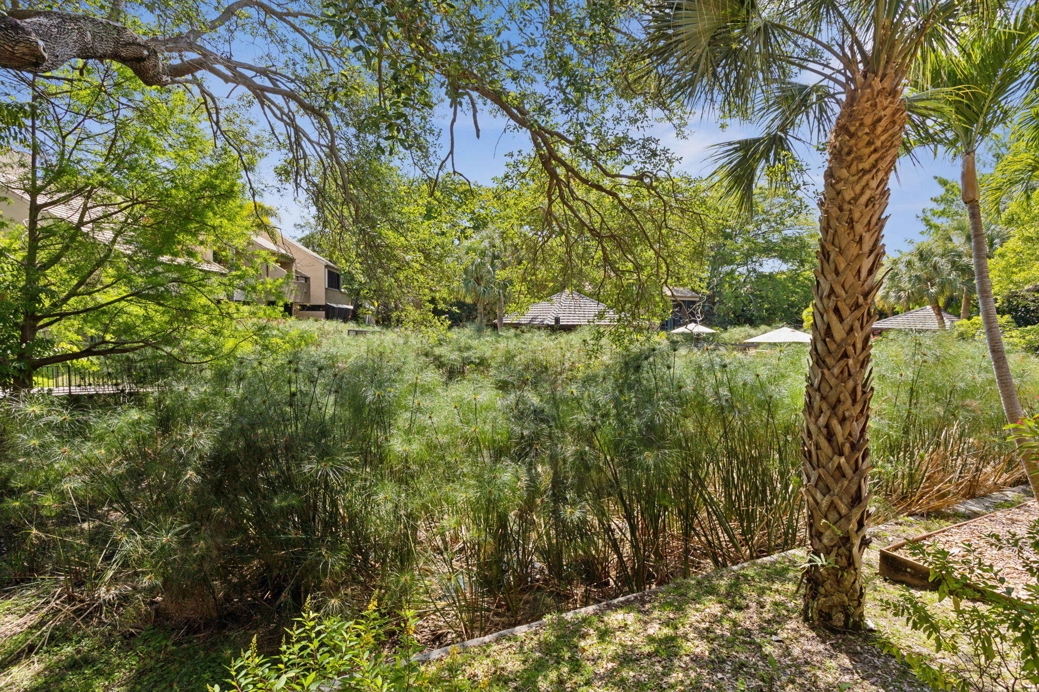 742 Saint Albans Drive