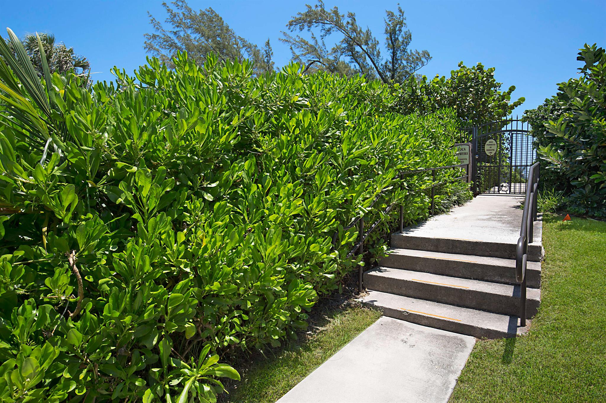 2121 N Ocean Boulevard 1202e