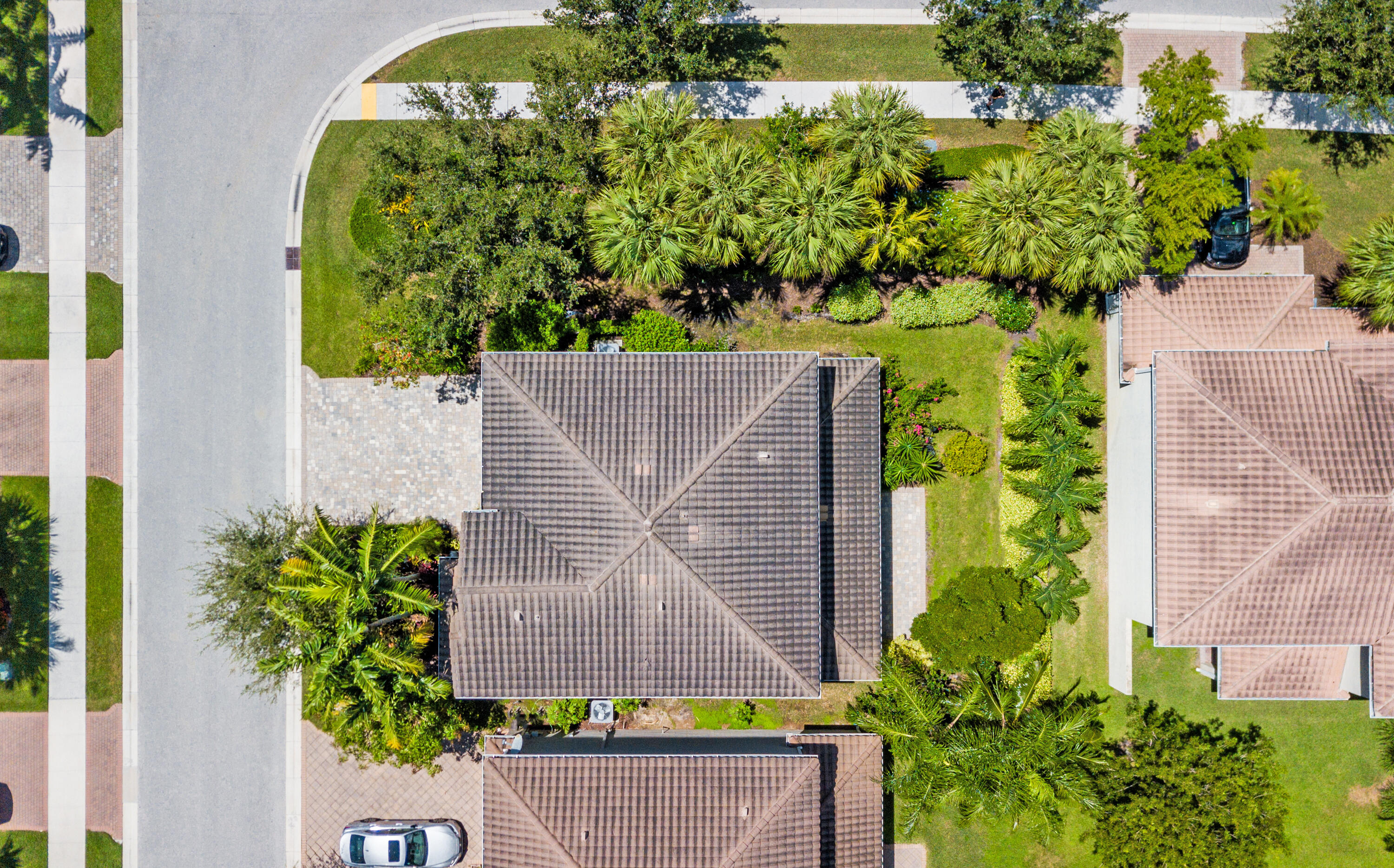 8085 Rainforest Jasper Lane