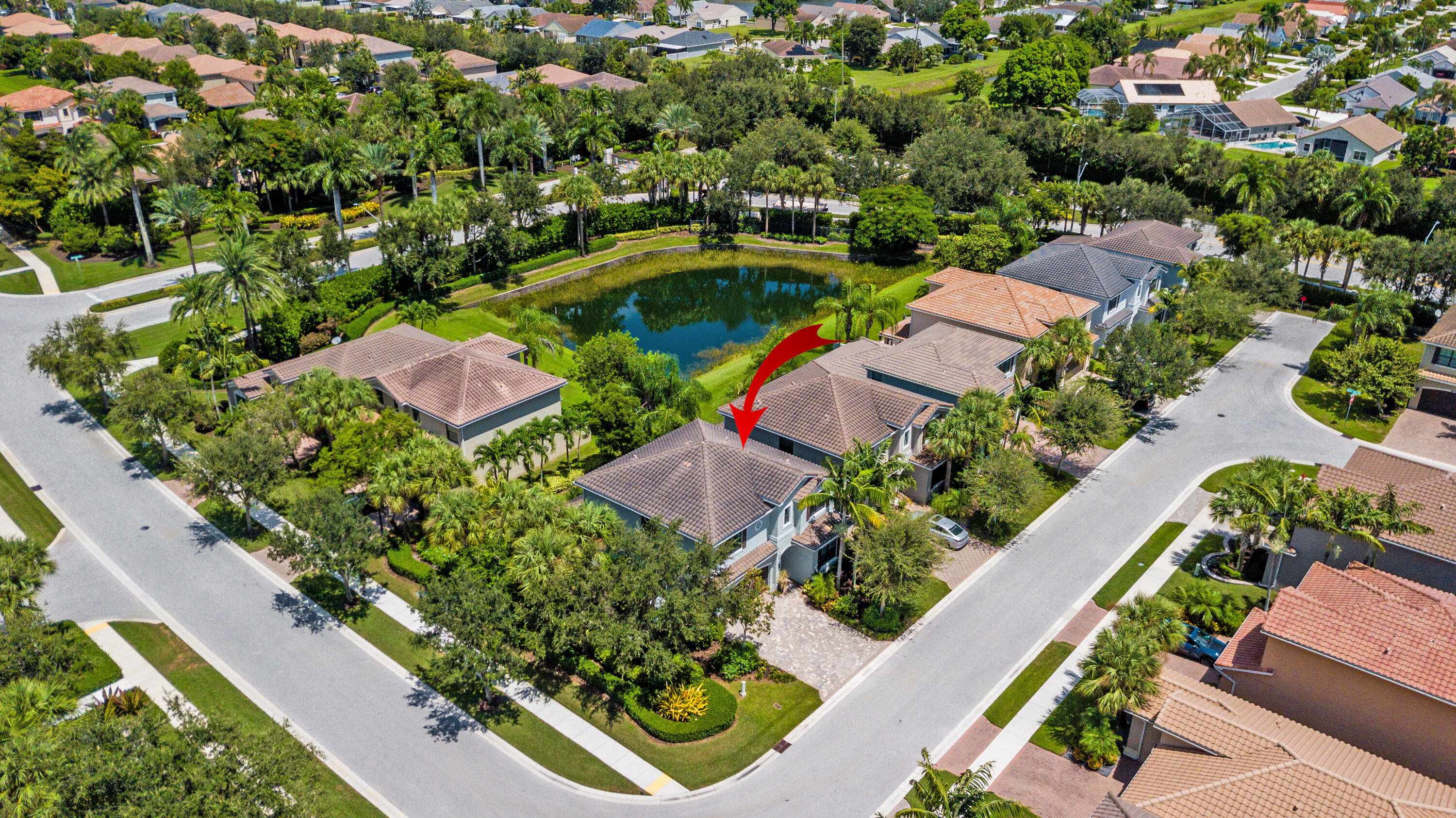 8085 Rainforest Jasper Lane
