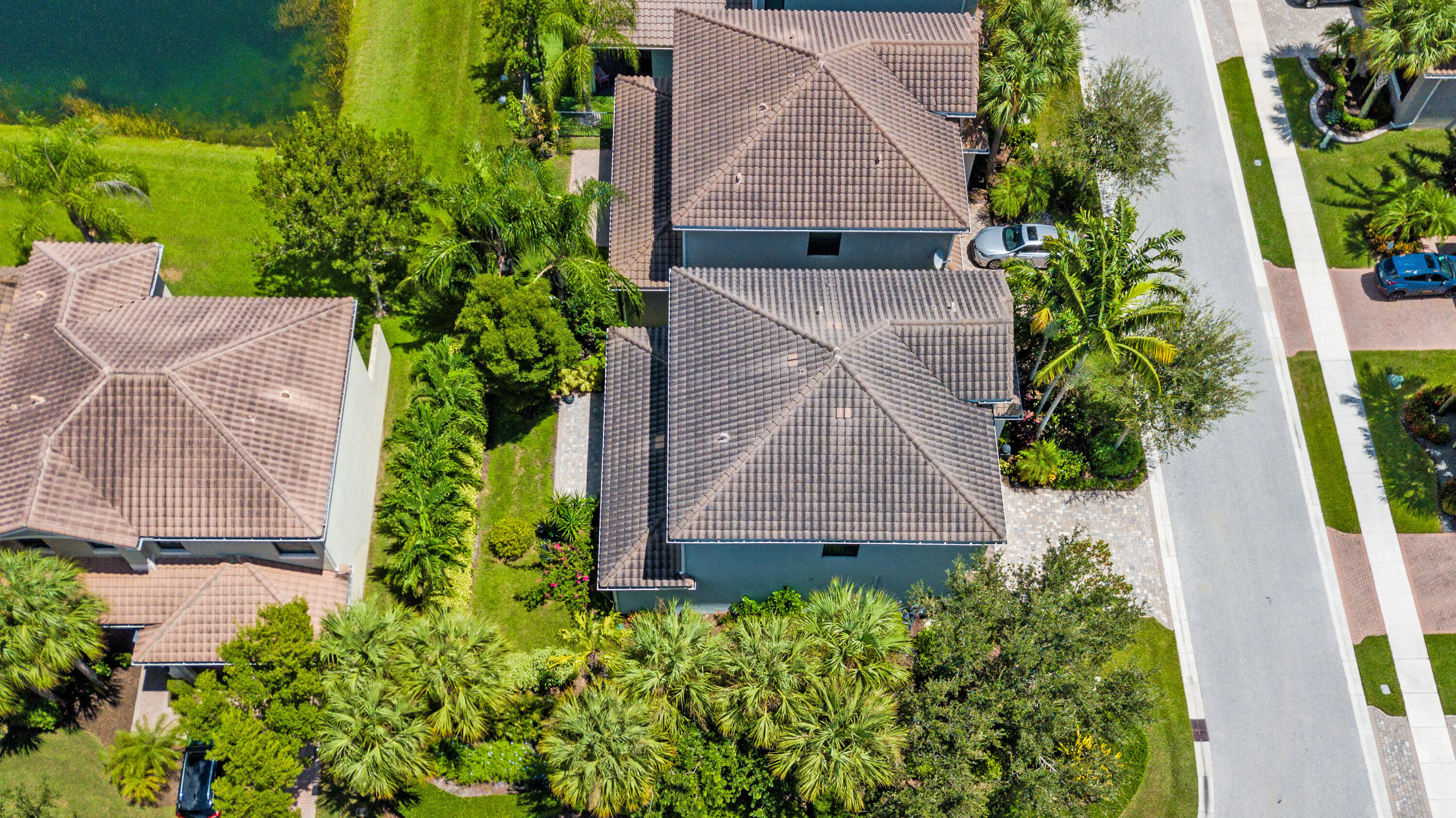 8085 Rainforest Jasper Lane