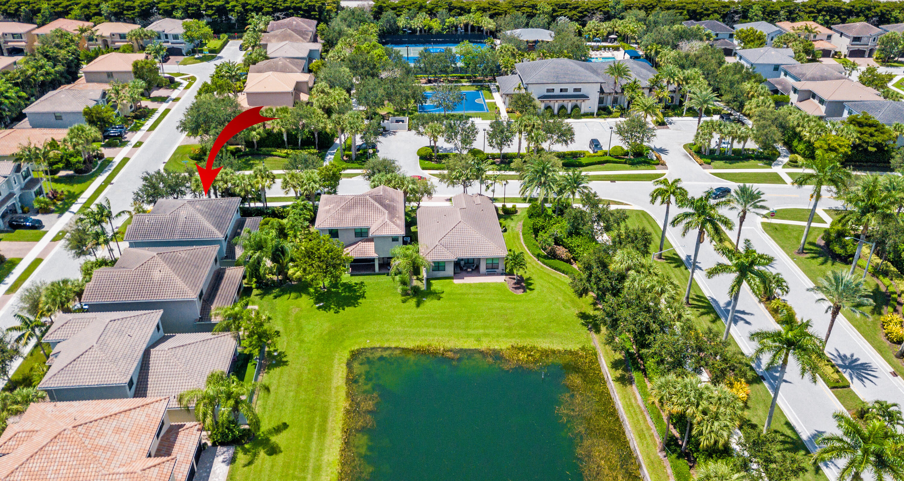 8085 Rainforest Jasper Lane