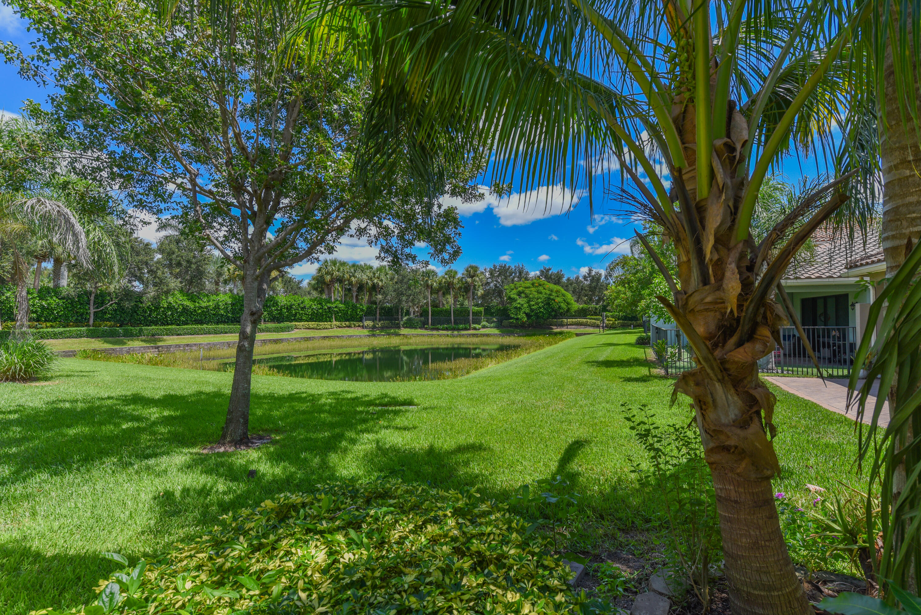 8085 Rainforest Jasper Lane