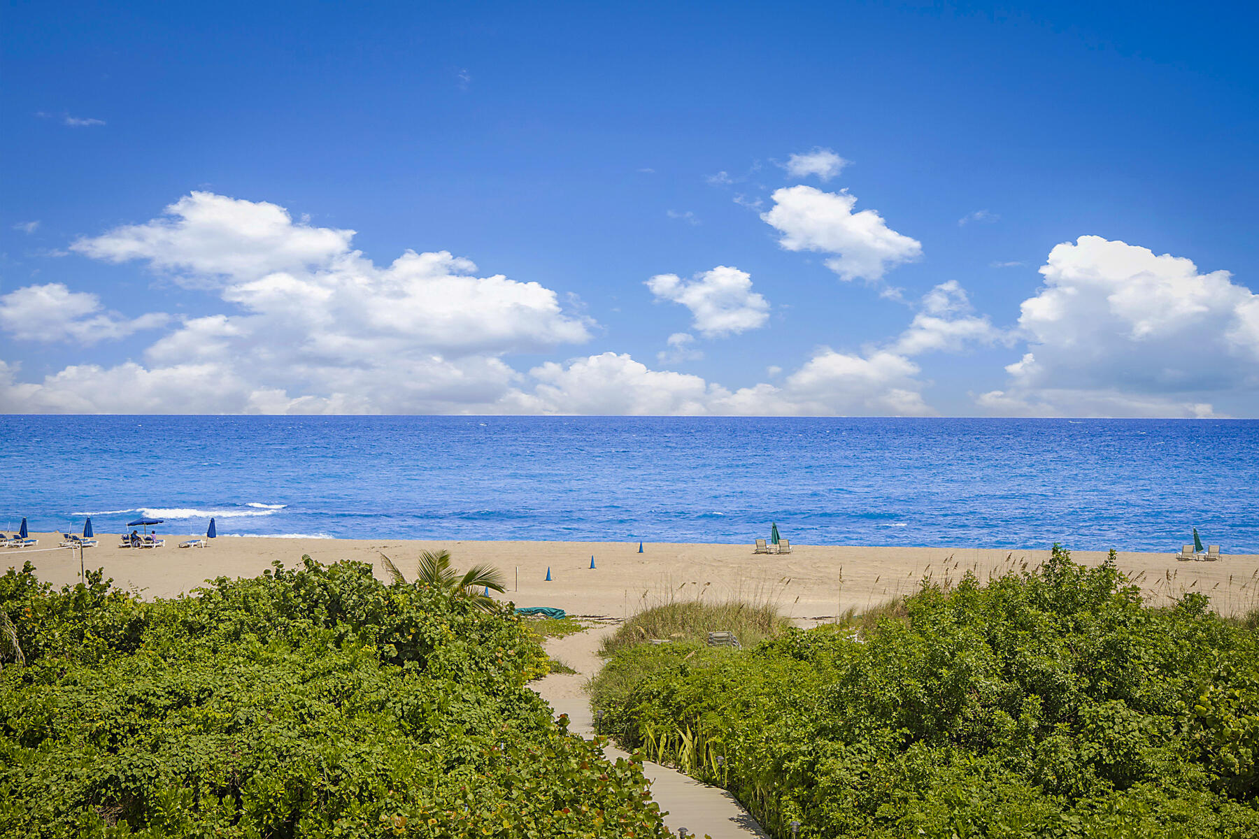 3730 N Ocean Drive 15c