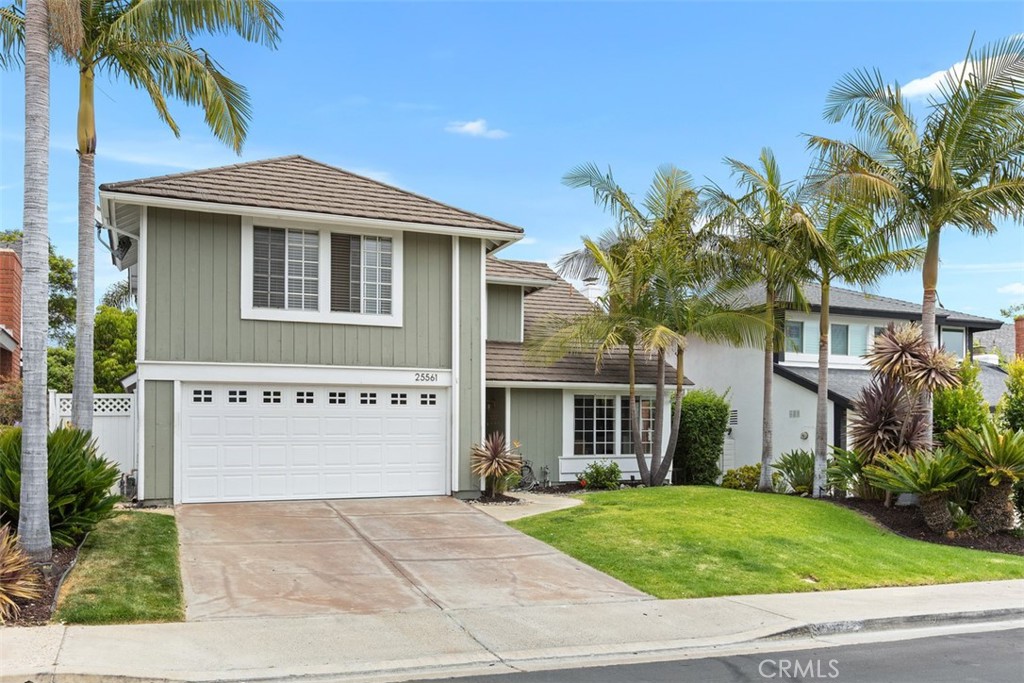 25561 Goldenspring