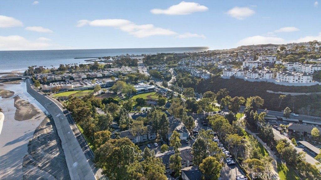 Aerial view of a coastal Dana Point neighborhood, with ocean, shoreline, parks, and hillside homes.