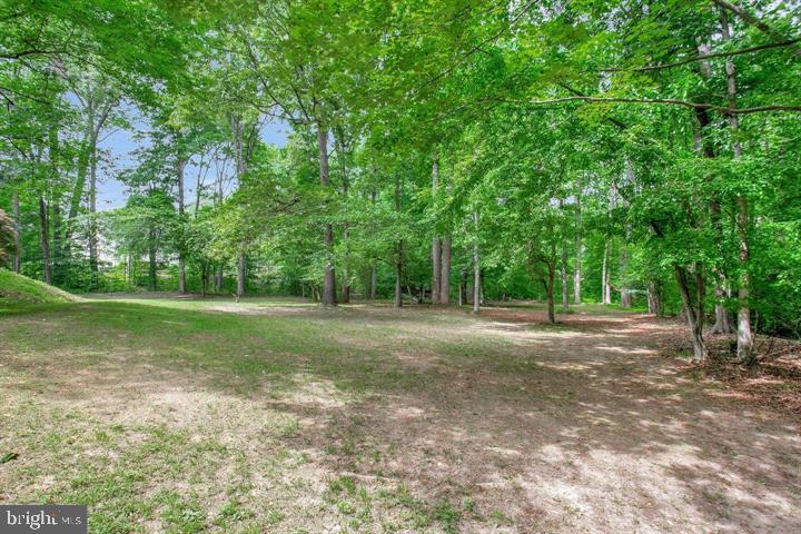 30060 FOREST VIEW LANE