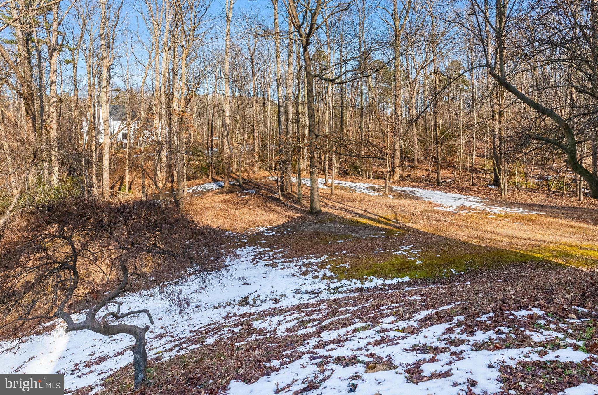 30060 FOREST VIEW LANE