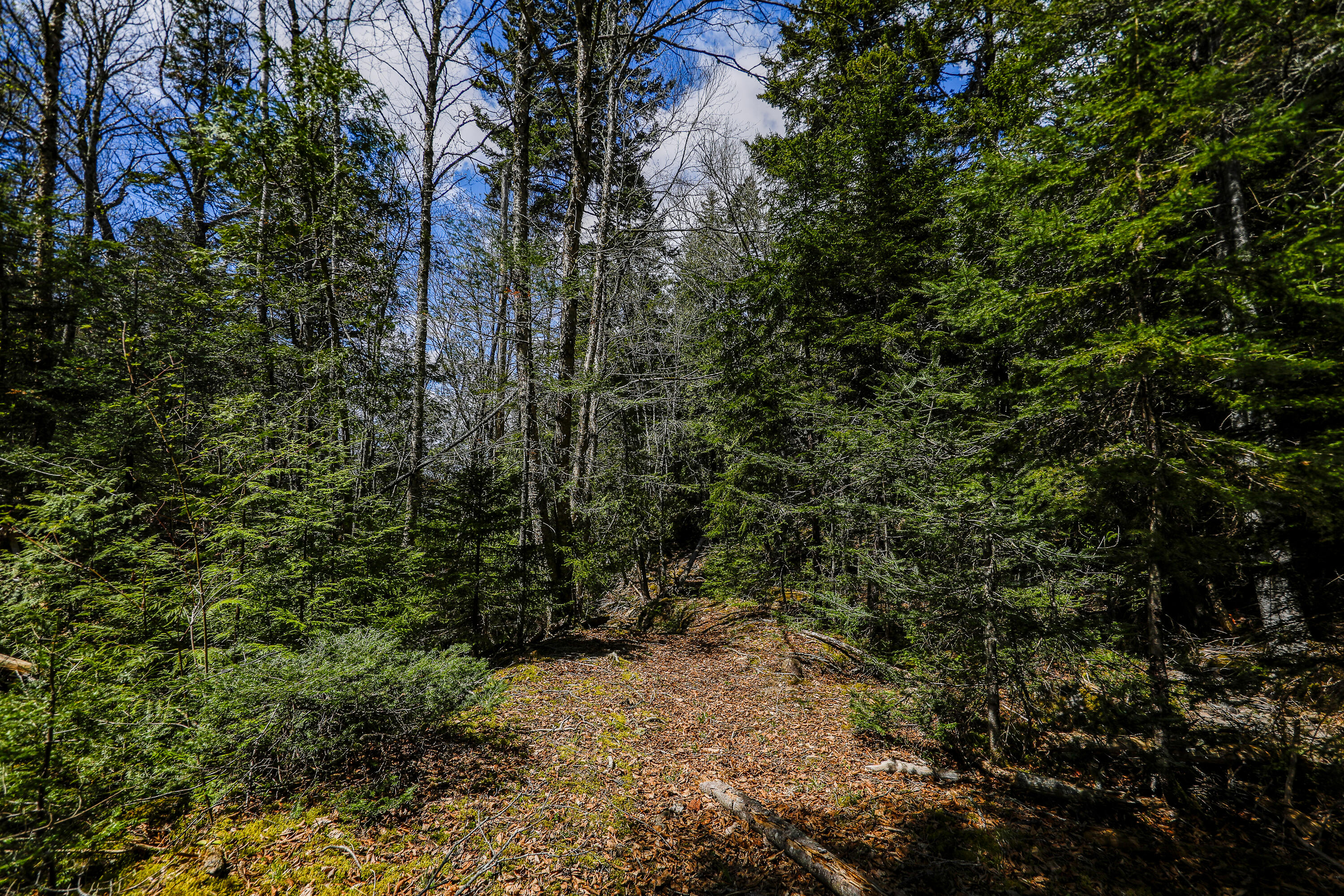 44A & 46A N Lubec Road