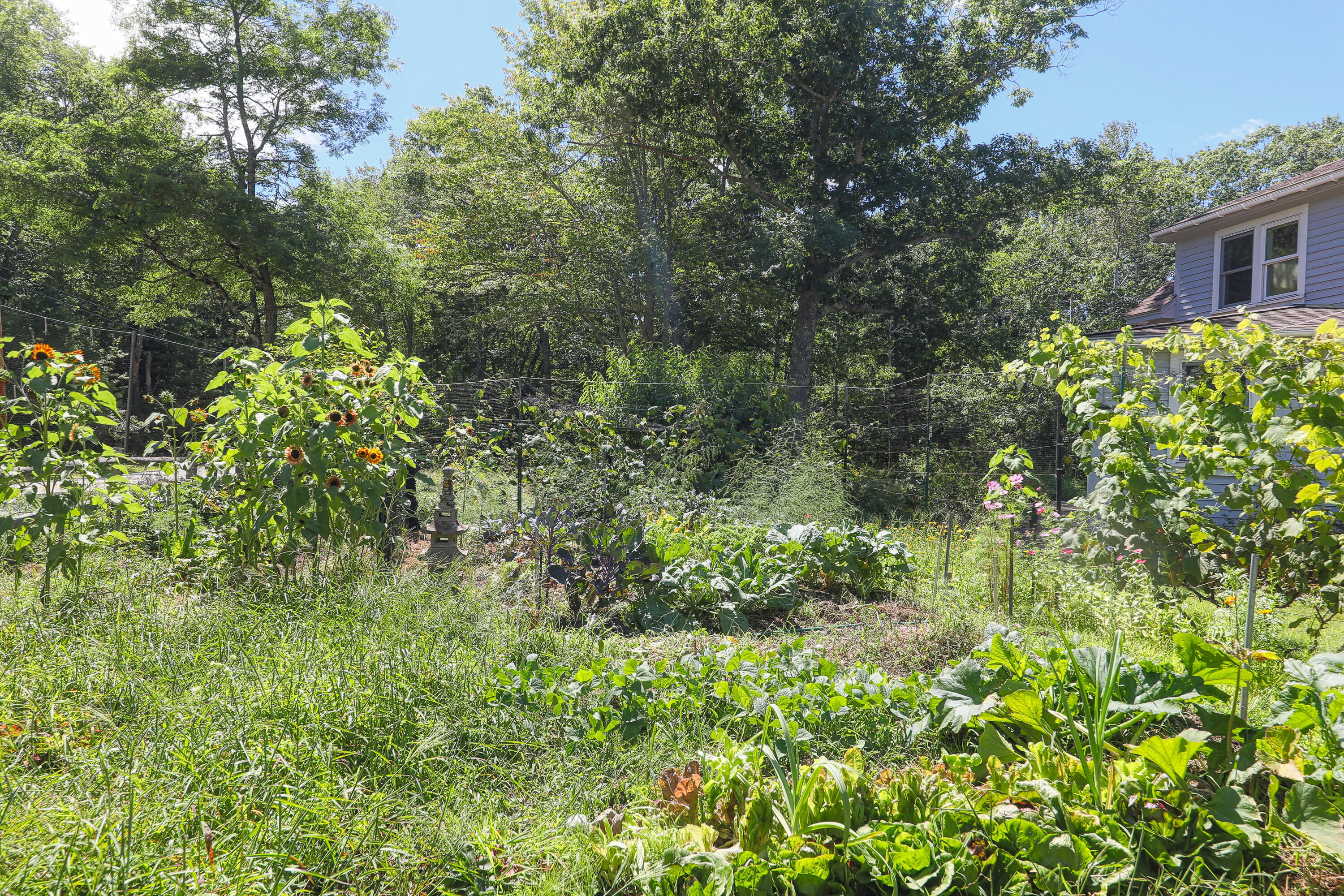 591 Parker Point Road