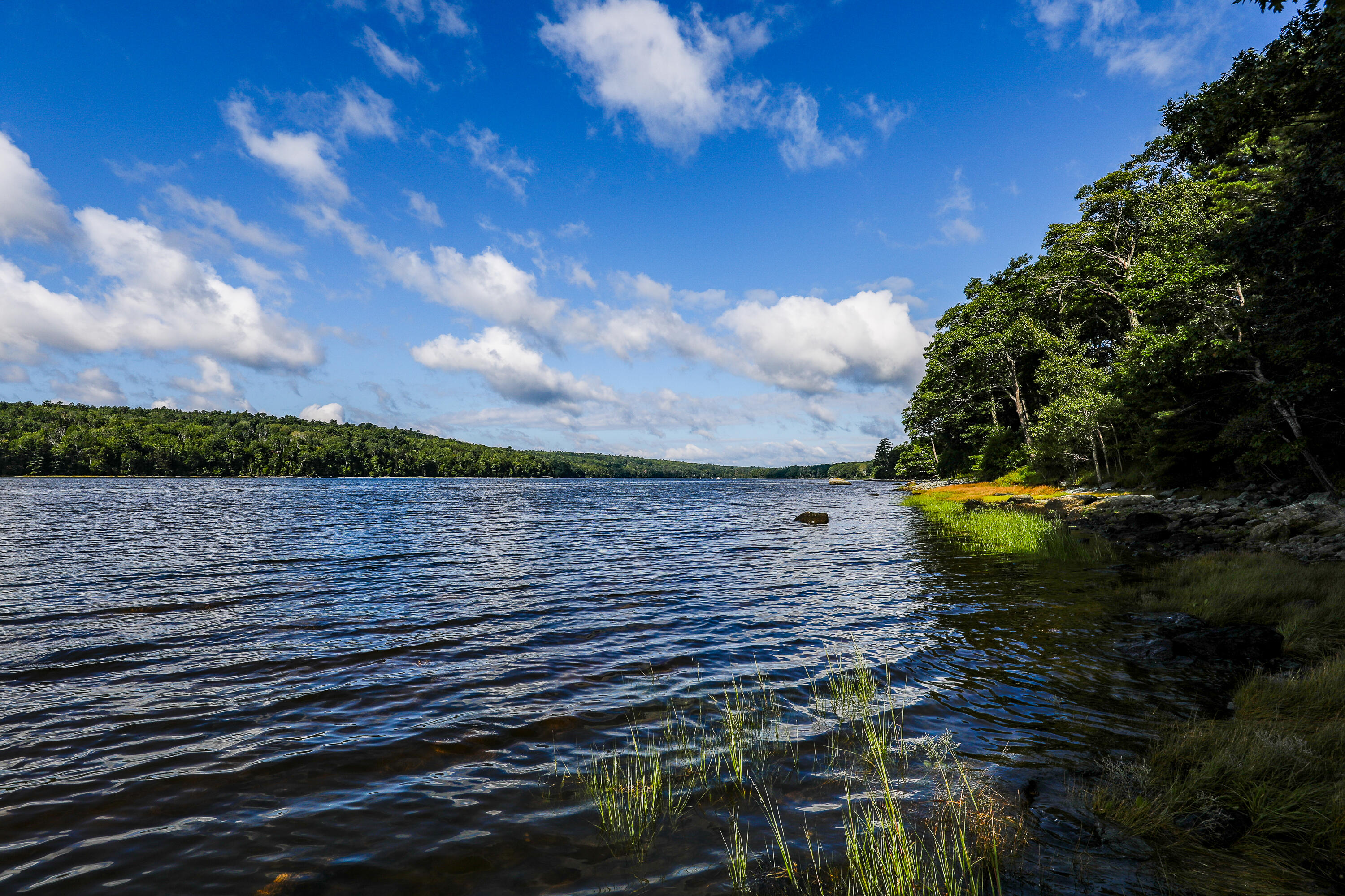 992 Surry Road