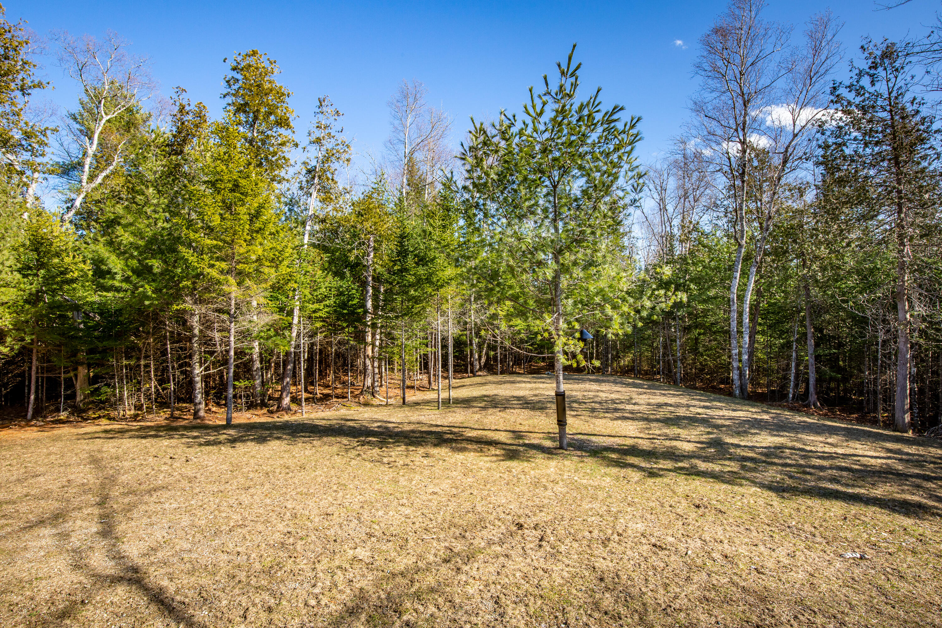 54 Forest Hill Lane
