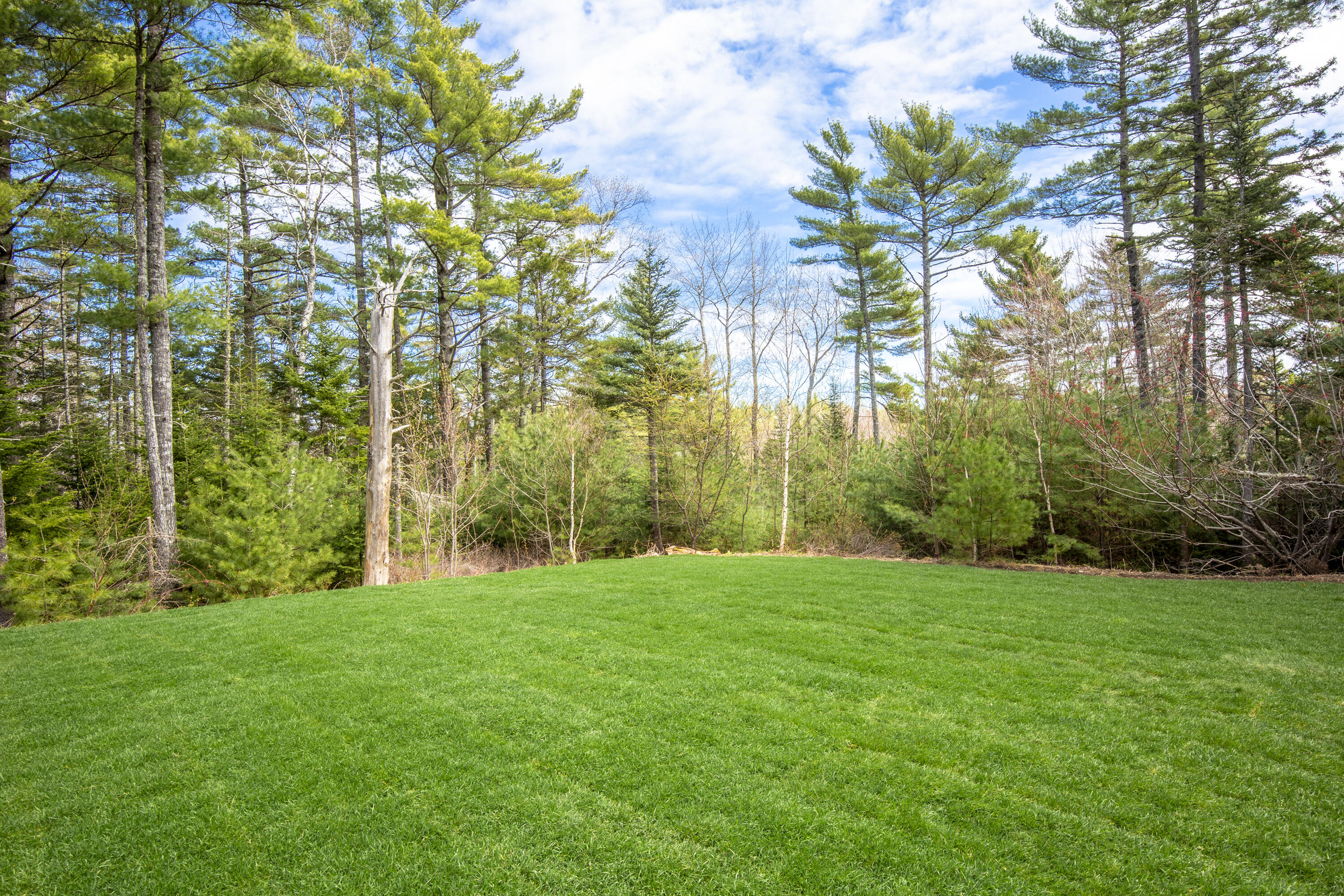 75 Black Watch Trail