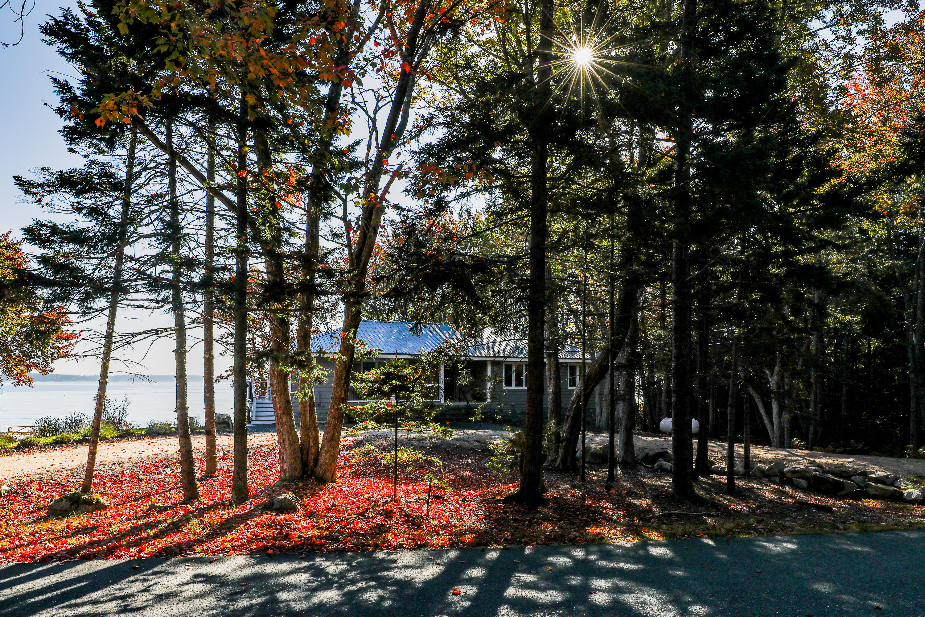 175 Paul Bunyan Road