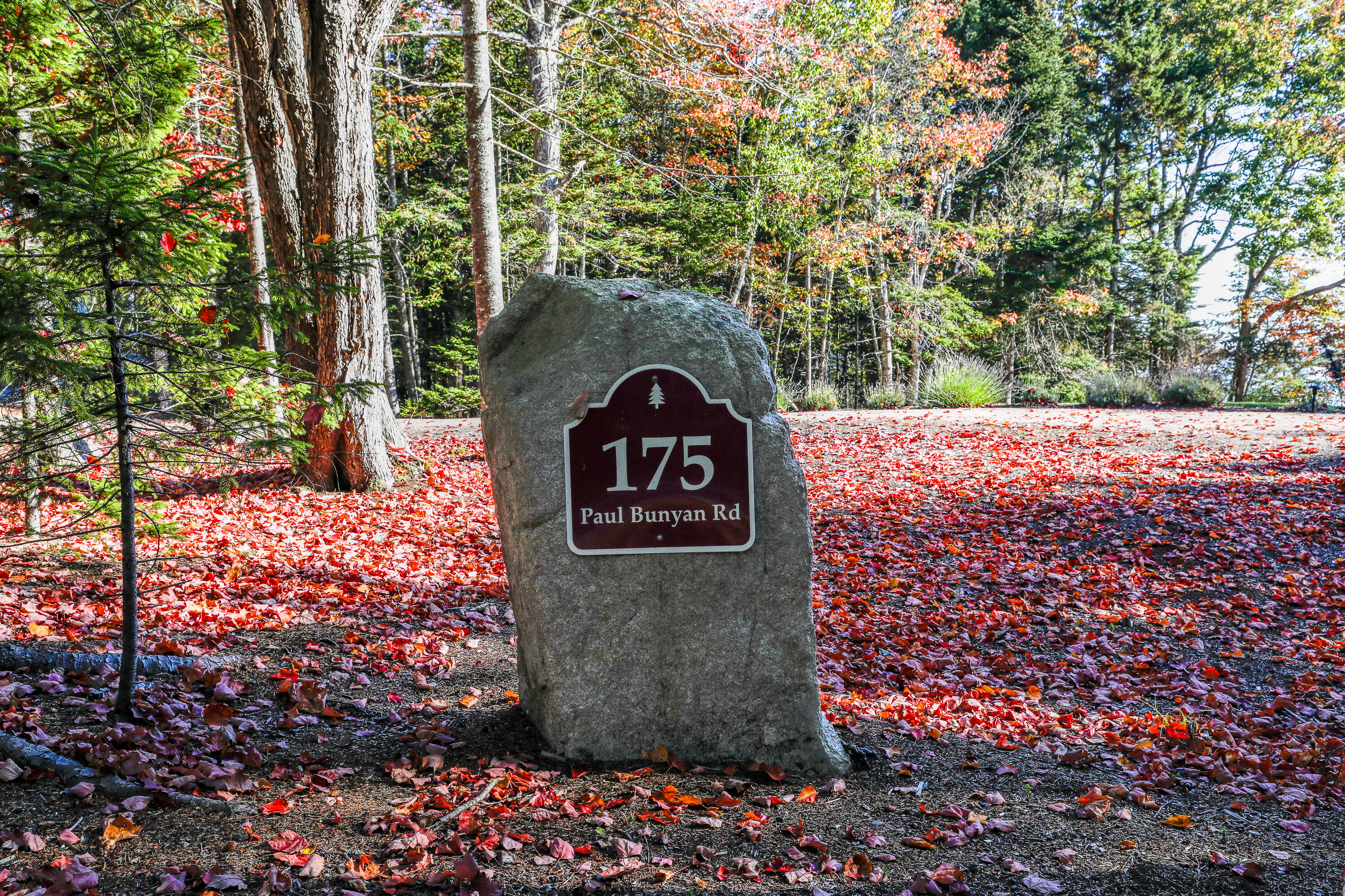 175 Paul Bunyan Road