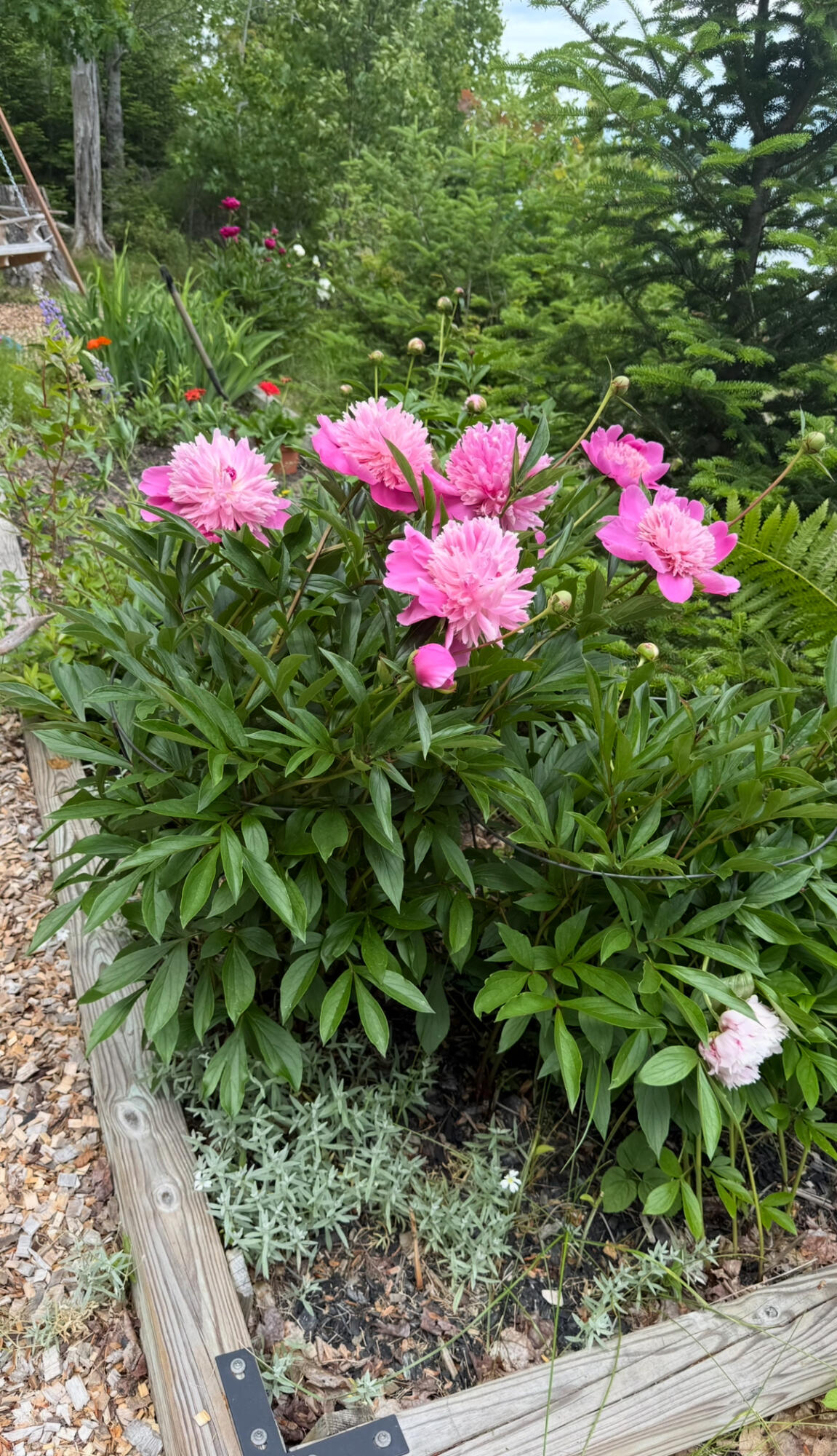 494 Newbury Neck Road