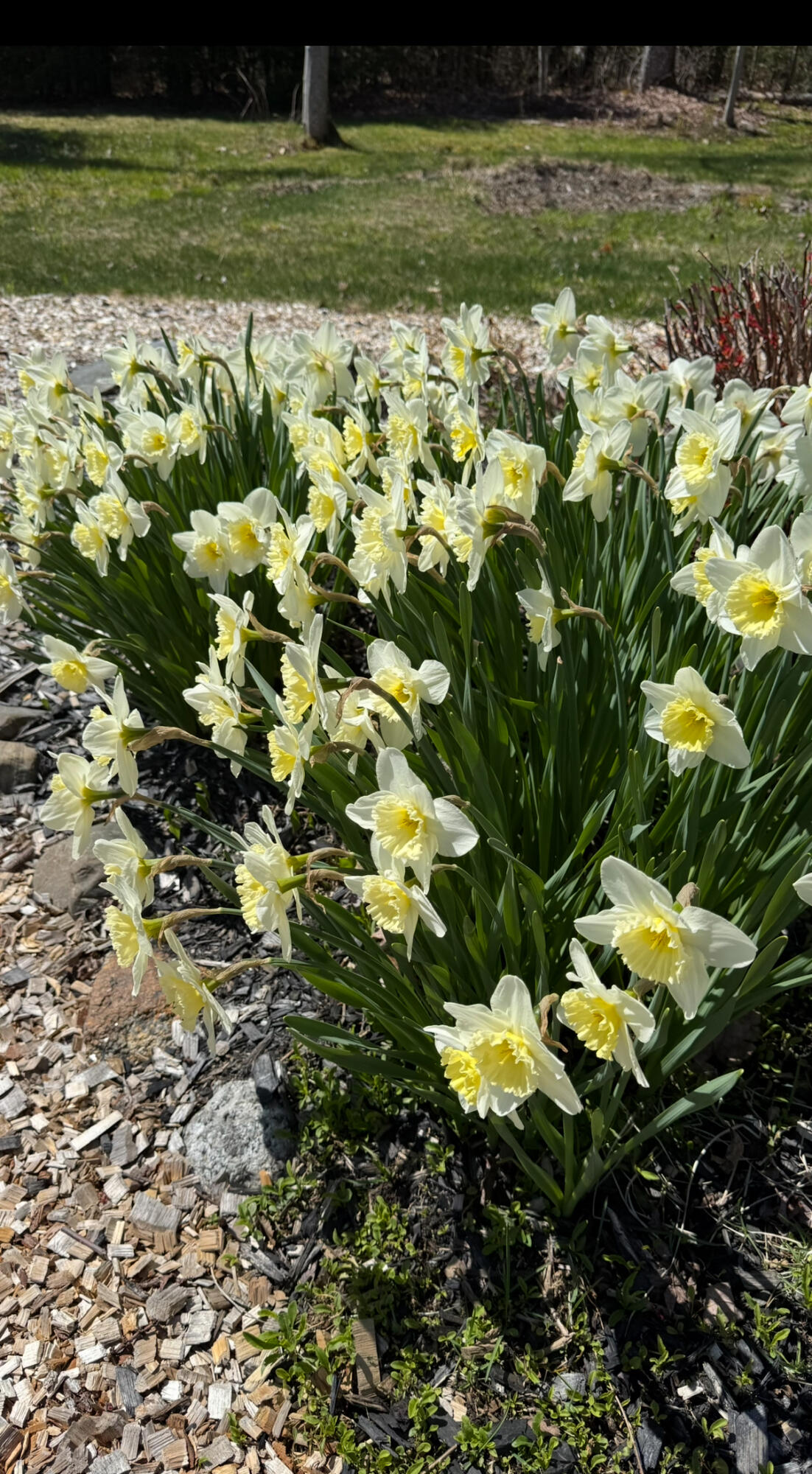 494 Newbury Neck Road