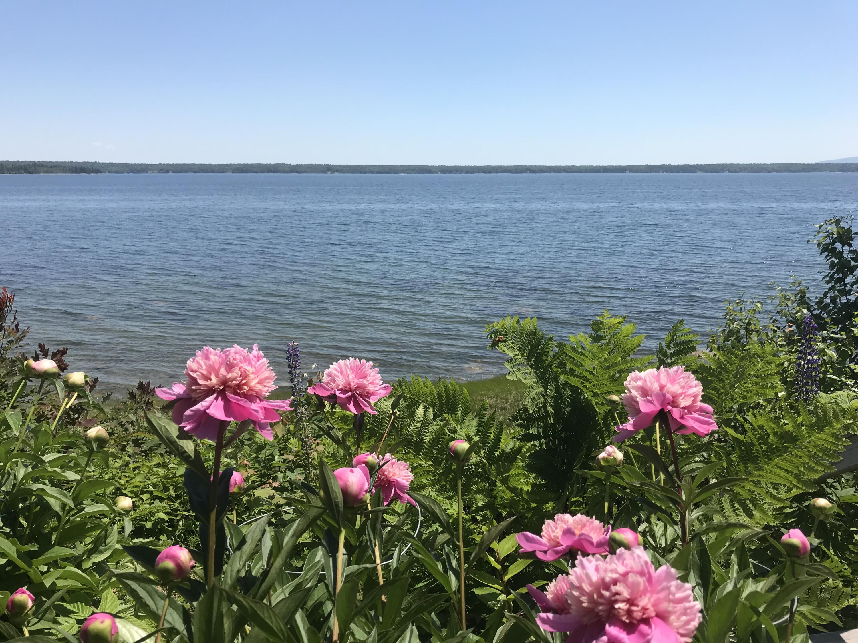 494 Newbury Neck Road