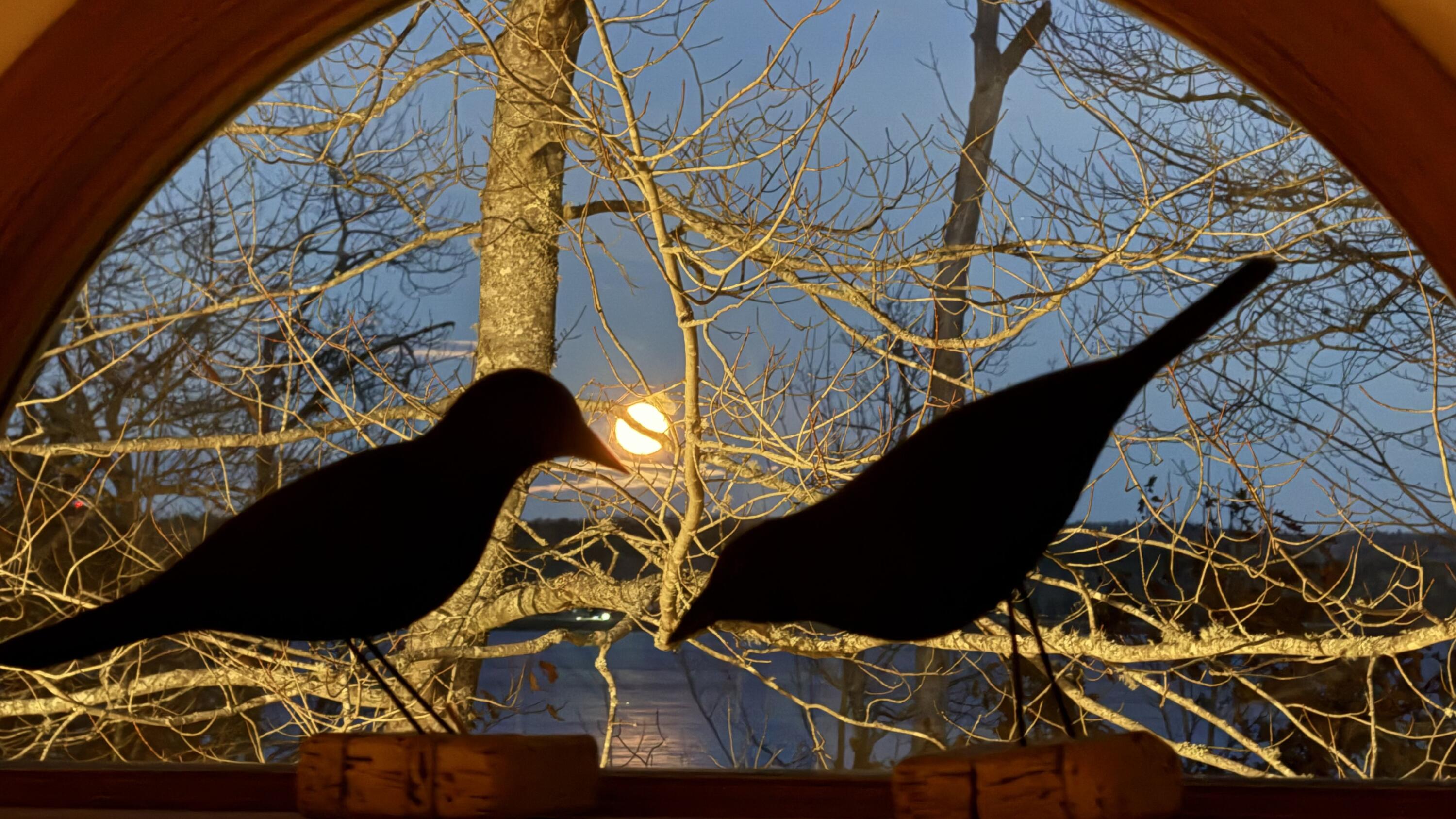 494 Newbury Neck Road