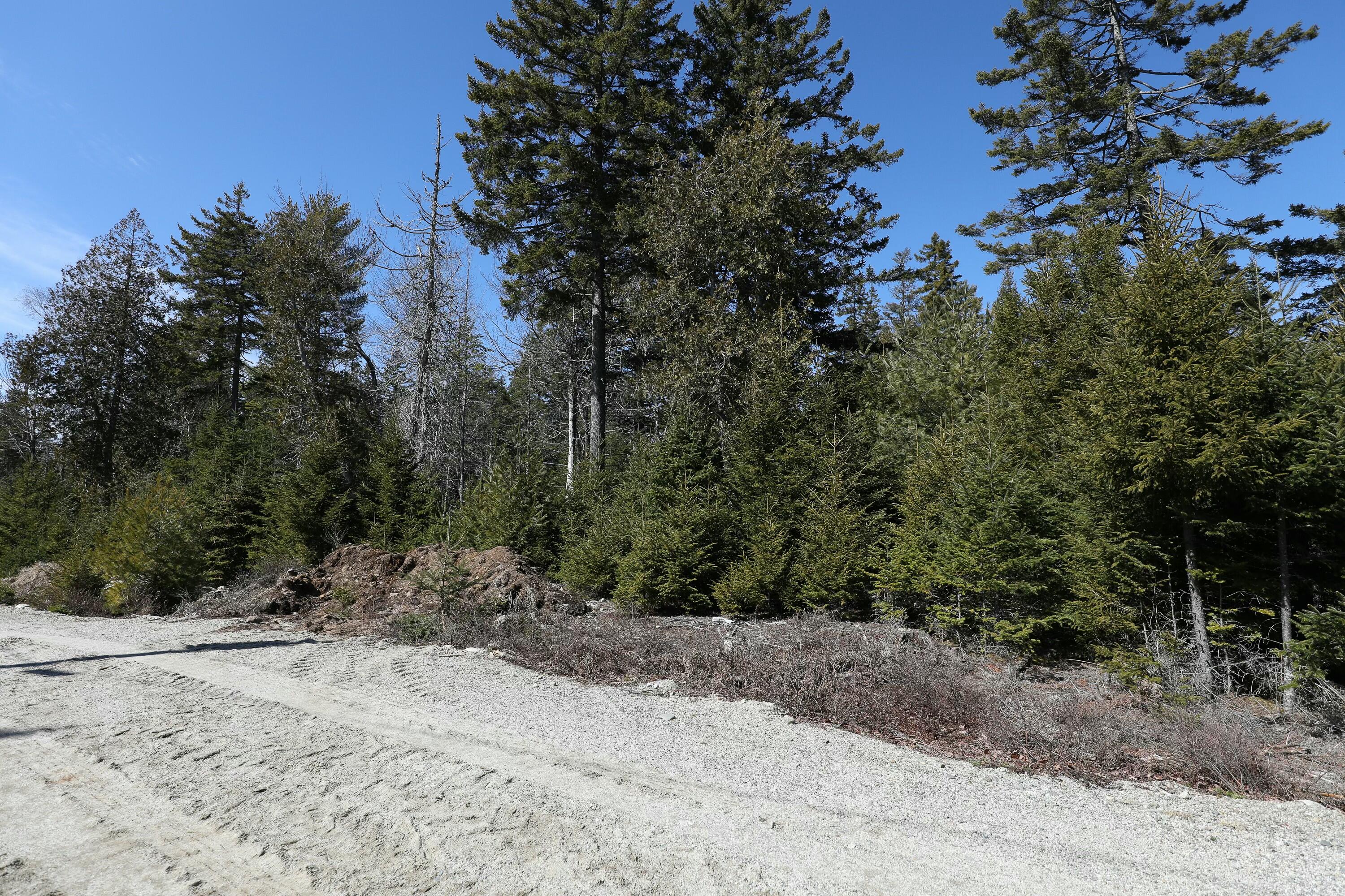 Lot 10 4R2 Pine Cone Lane