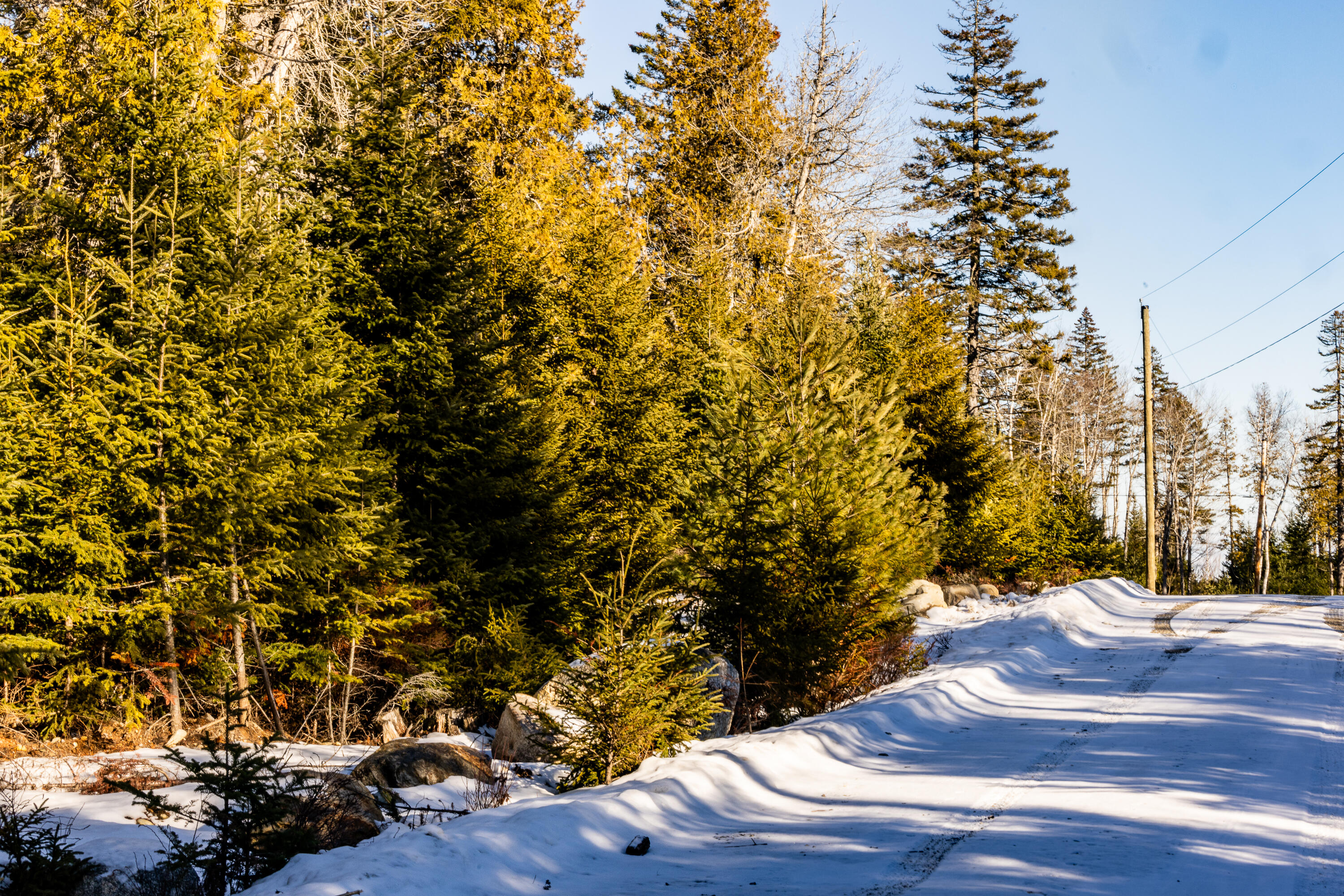 Lot 10 4R2 Pine Cone Lane