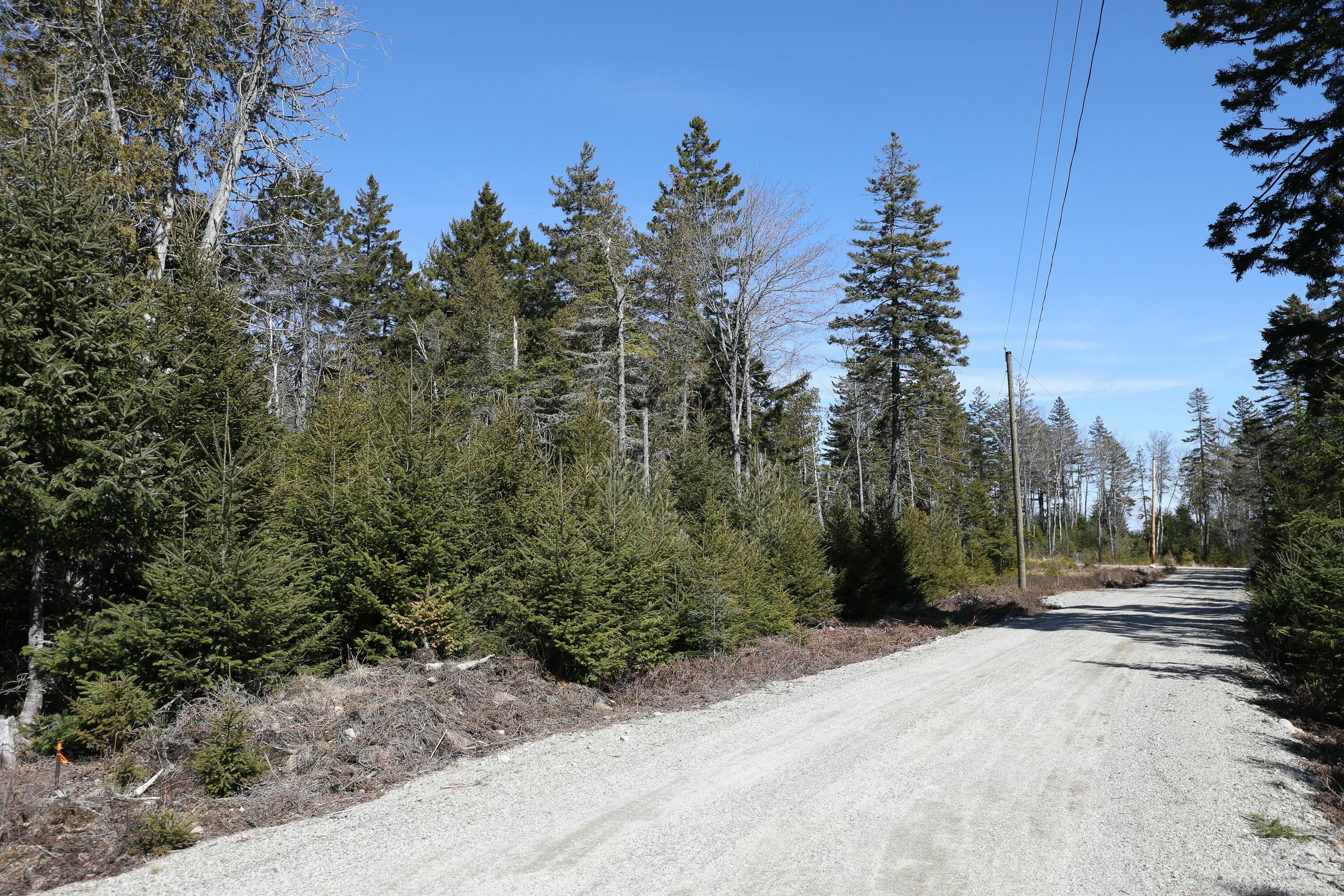 Lot 10 4R2 Pine Cone Lane