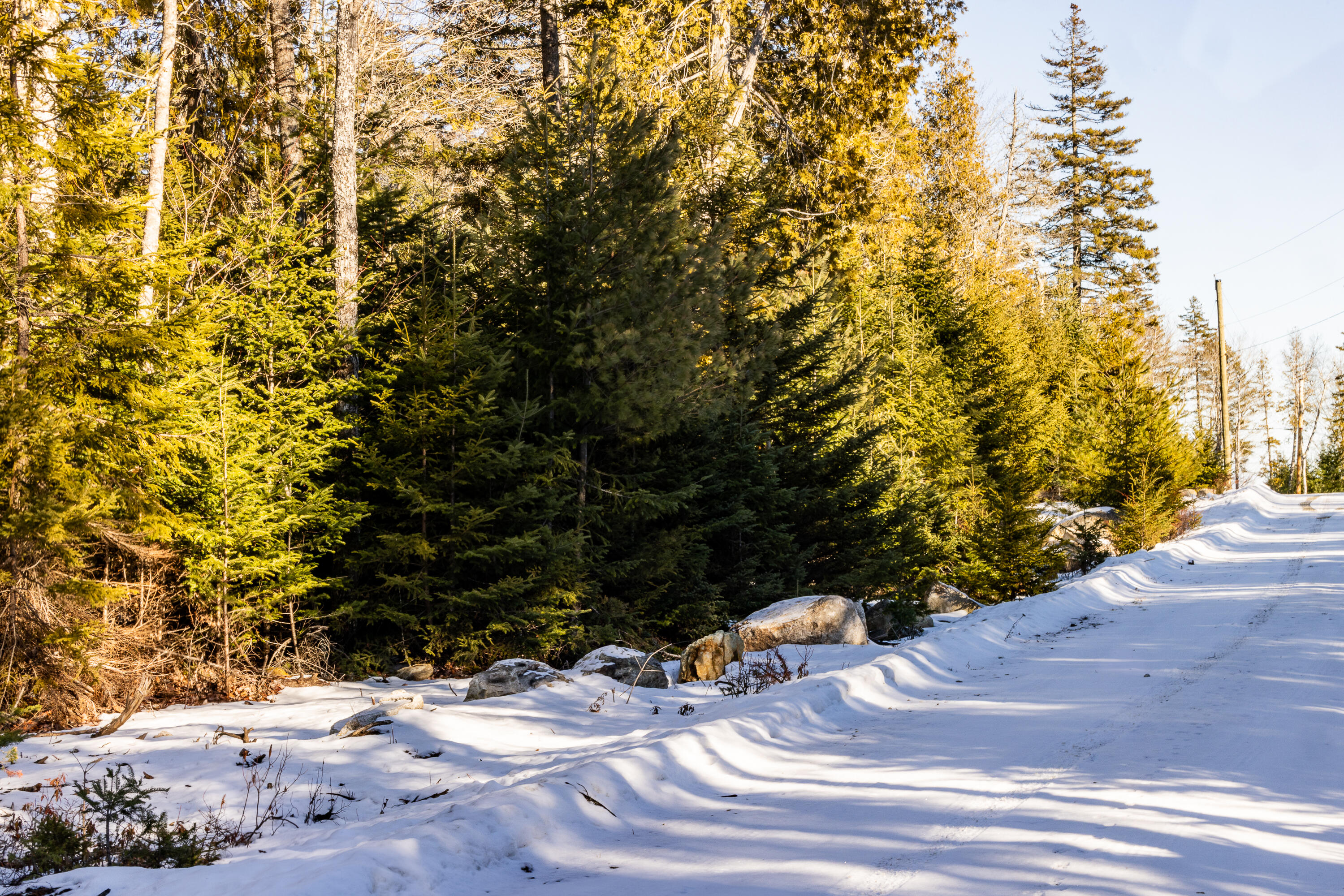 Lot 10 4R2 Pine Cone Lane