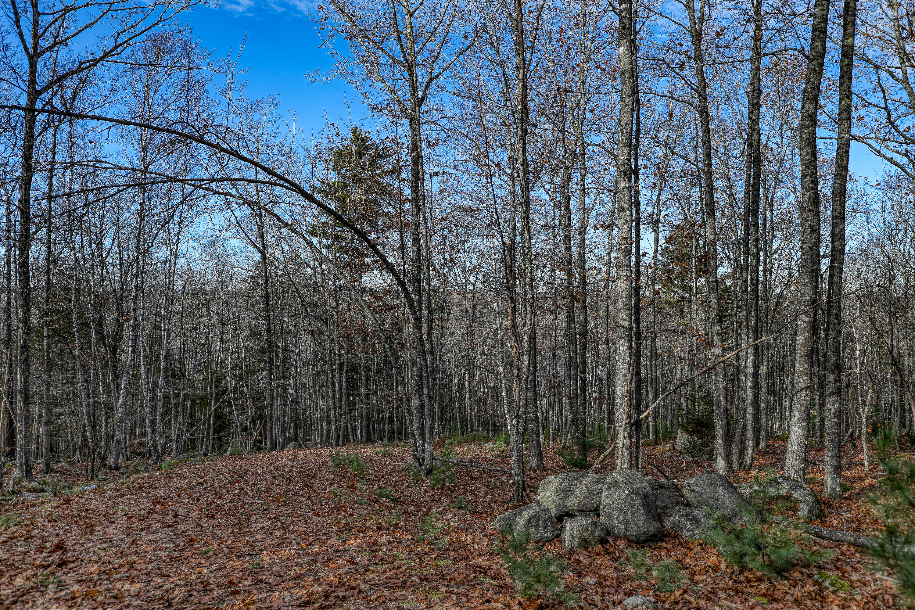 005 Newbury Neck Road