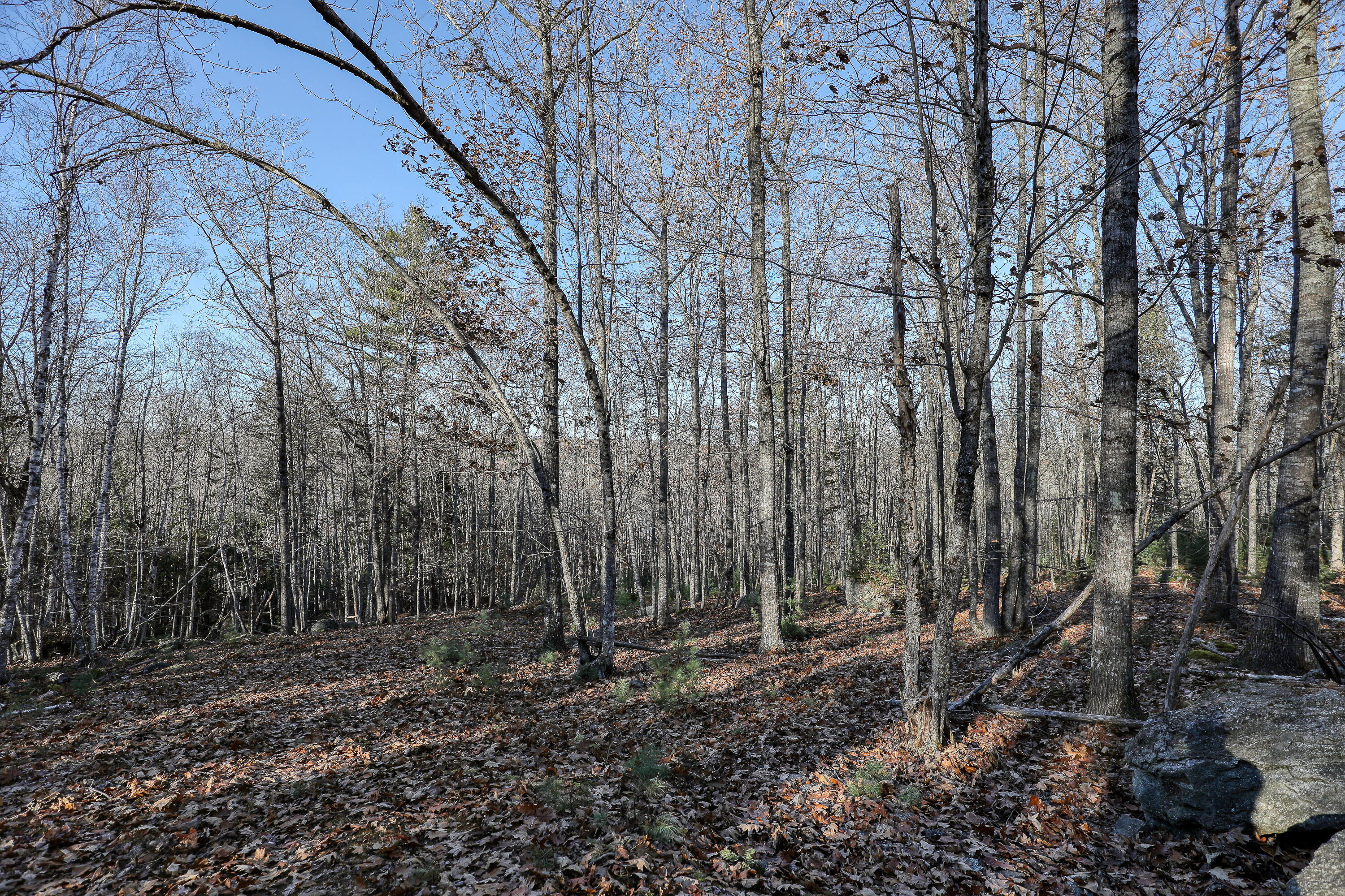 005 Newbury Neck Road