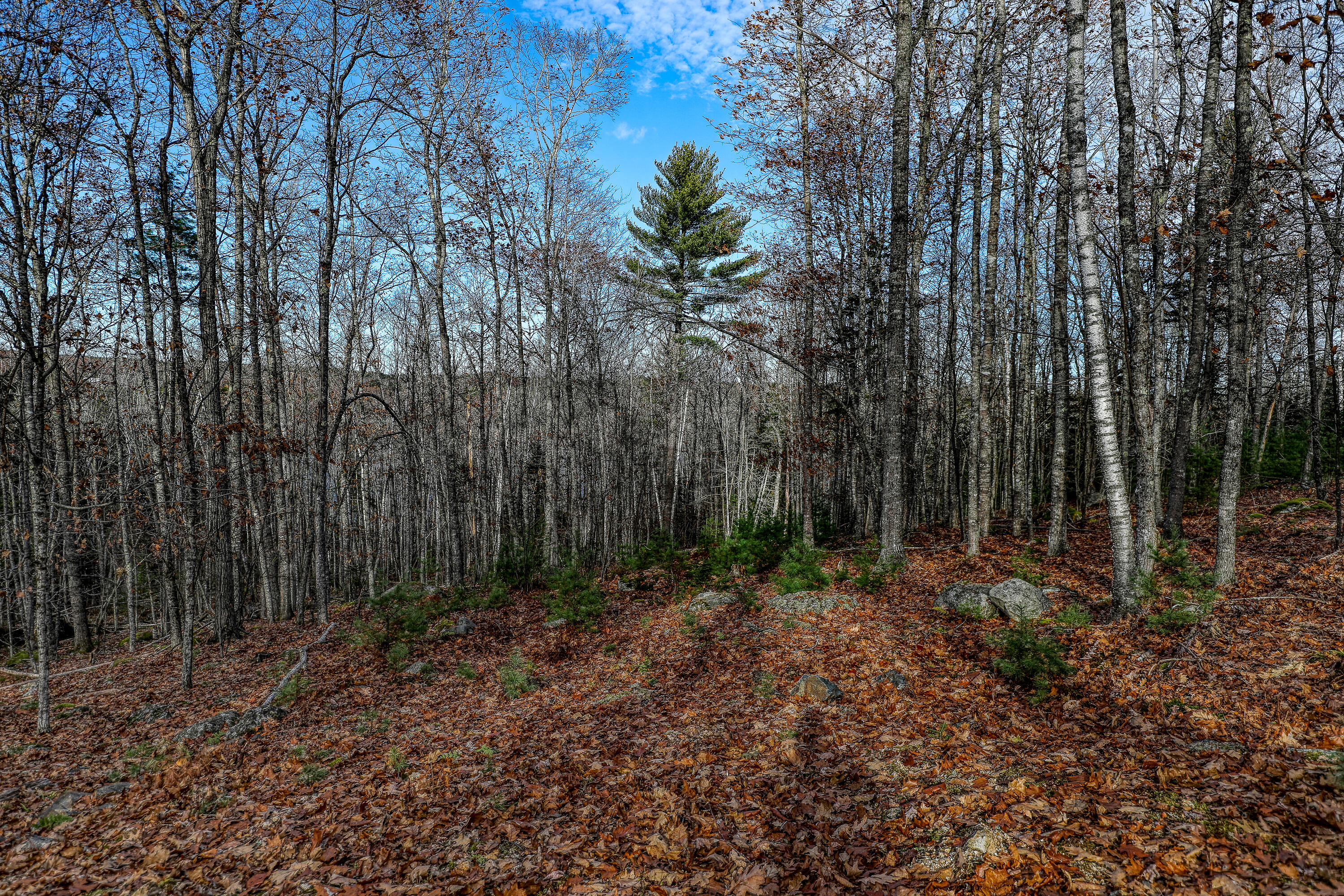 005 Newbury Neck Road