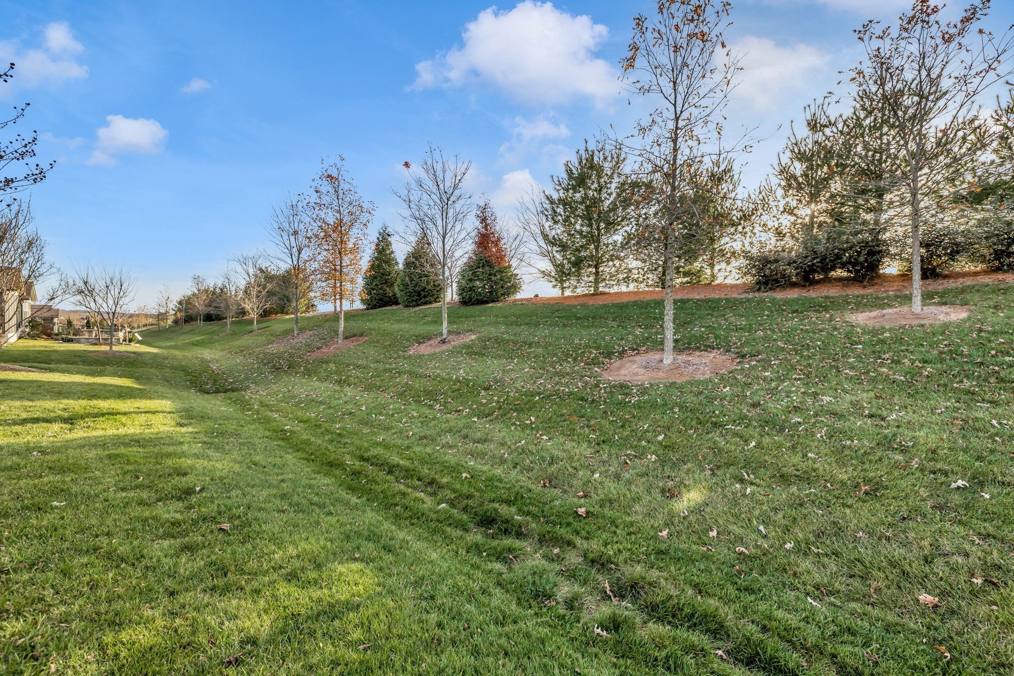 843 Clay Pl
