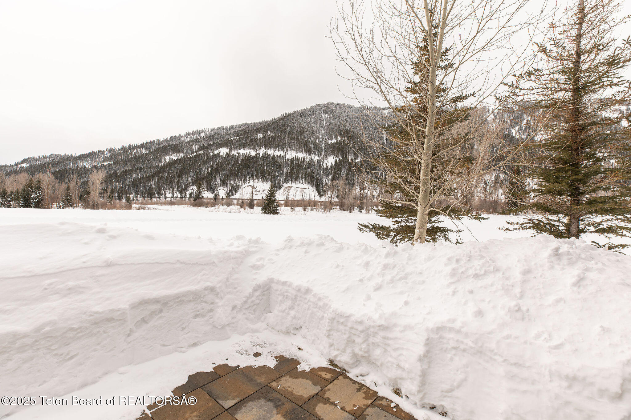 14385 S CADDIS COURT