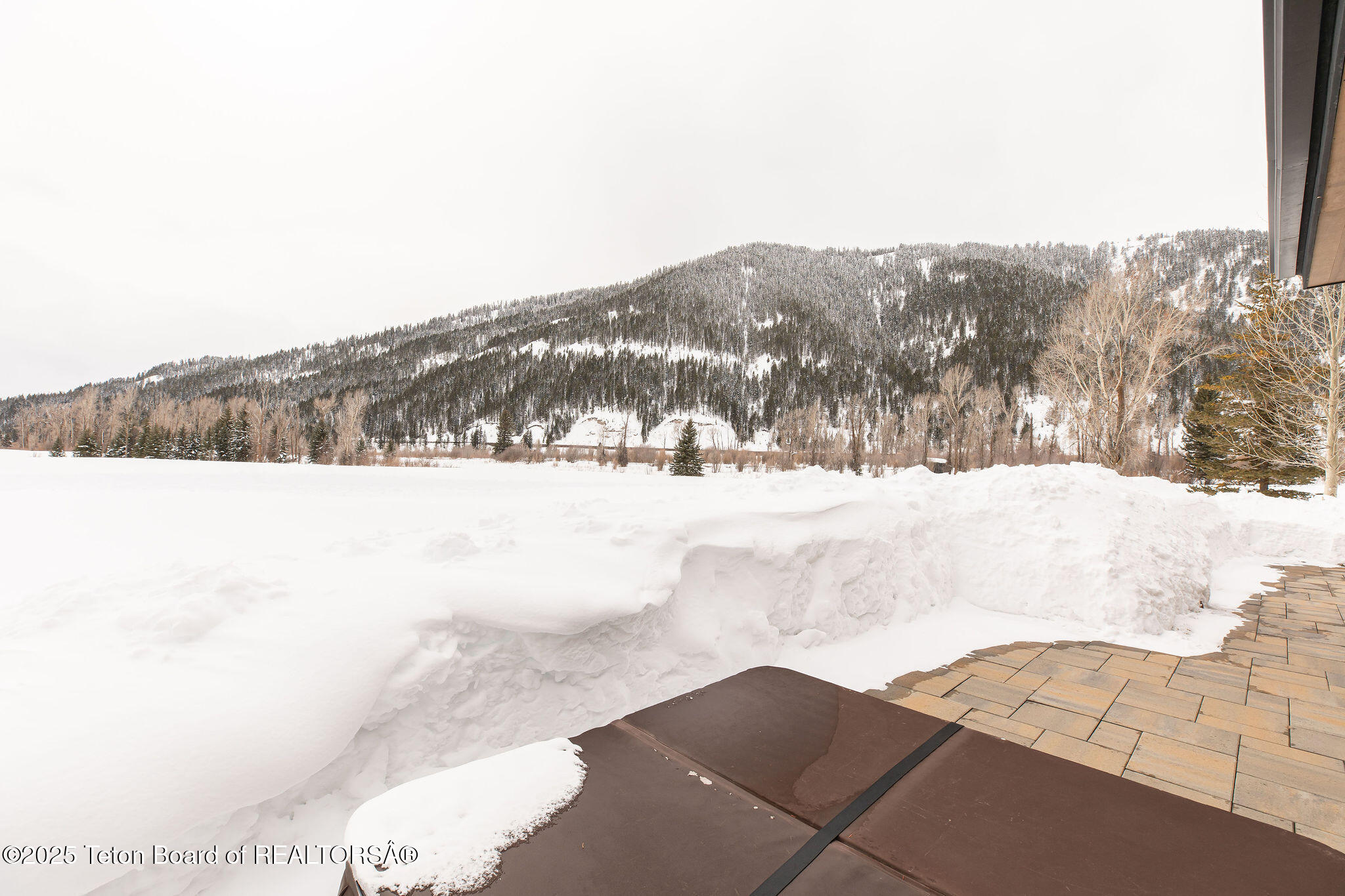 14385 S CADDIS COURT