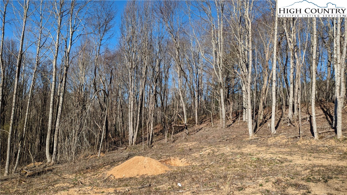 TBD Staggs Creek Road