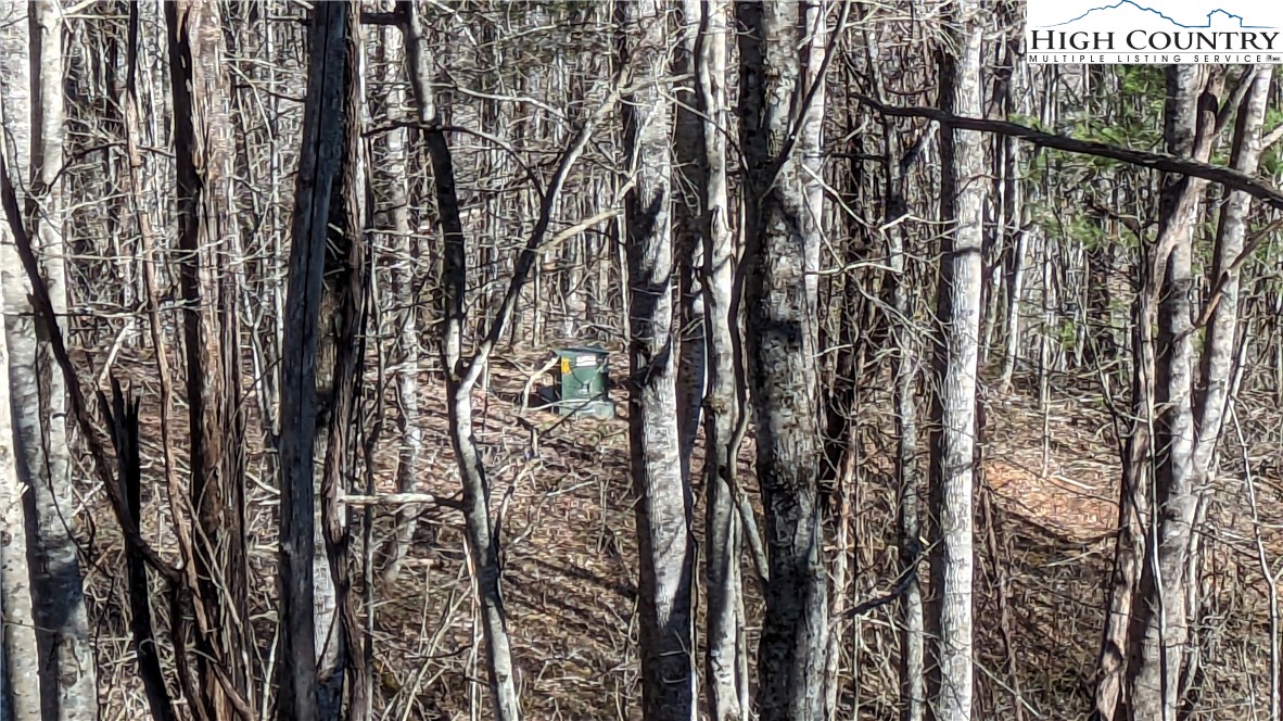 TBD Staggs Creek Road