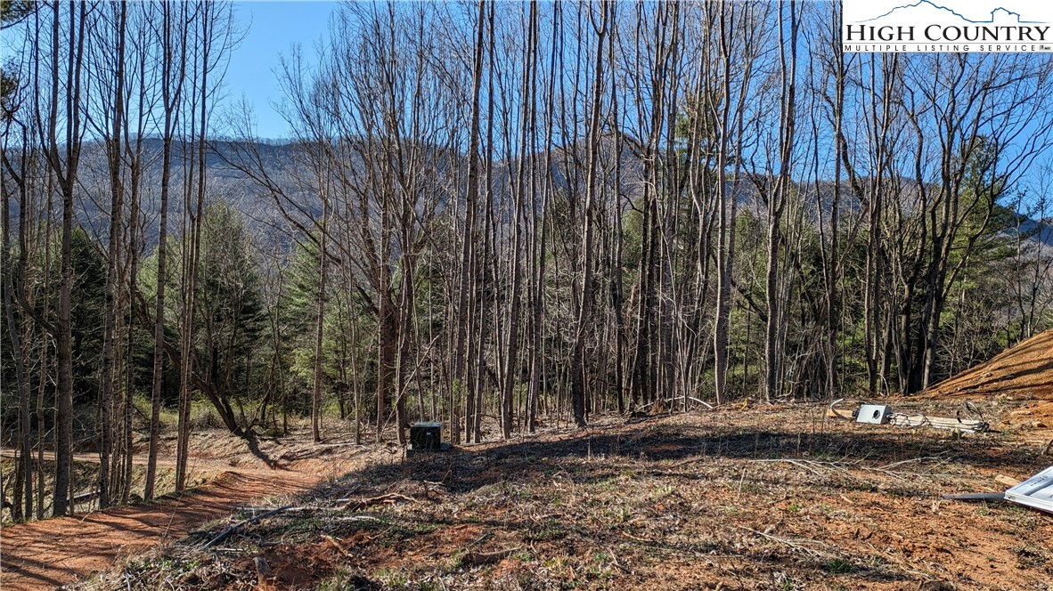 TBD Staggs Creek Road