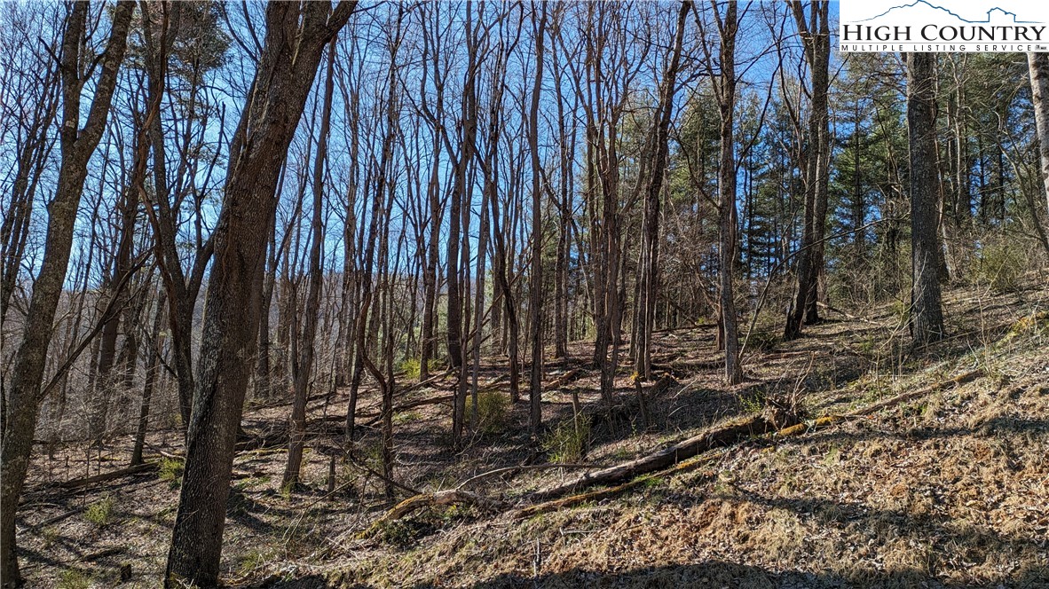 TBD Staggs Creek Road