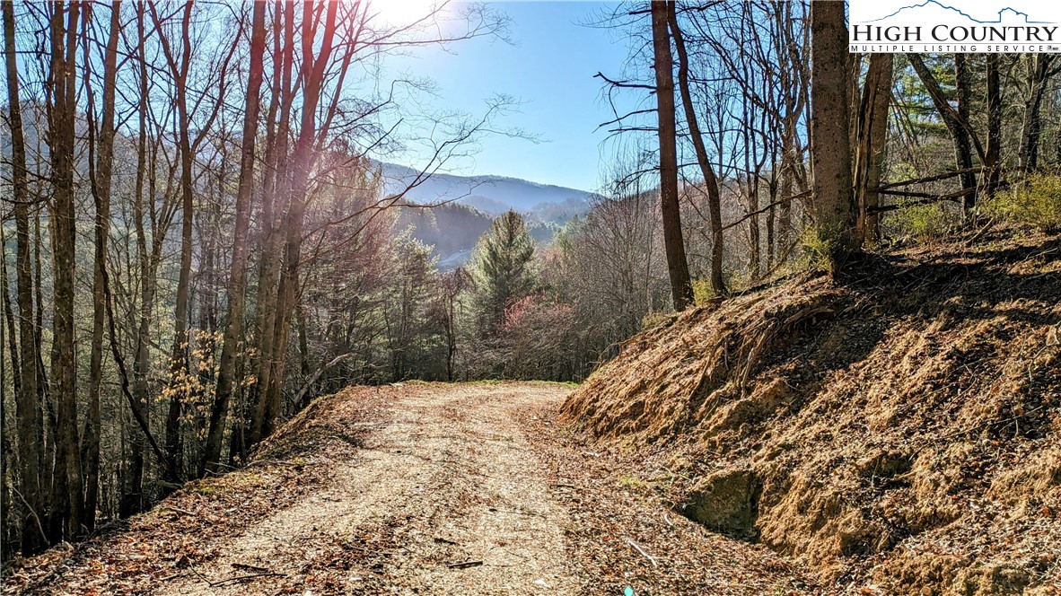 TBD Staggs Creek Road