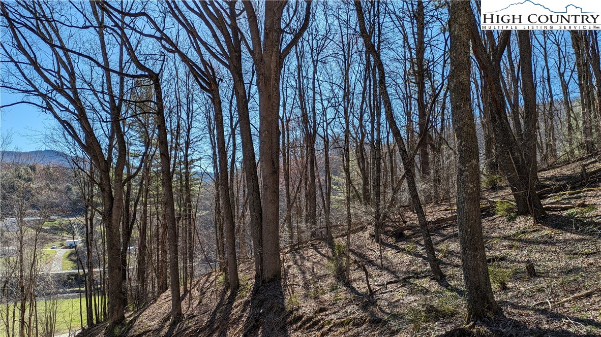 TBD Staggs Creek Road