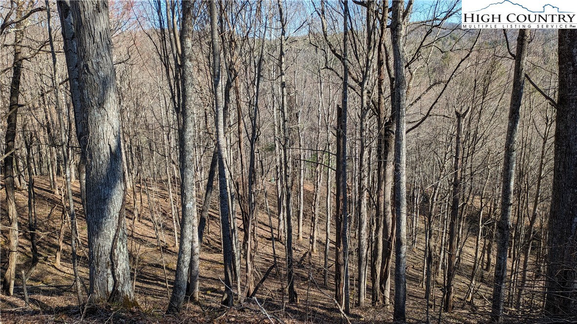 TBD Staggs Creek Road