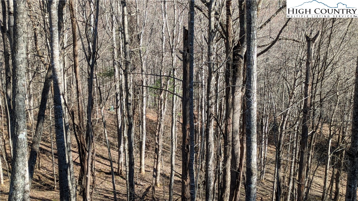 TBD Staggs Creek Road